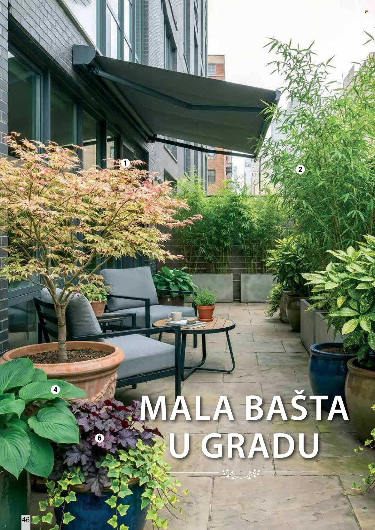 flora-ekspres - Flora Ekspres katalog oktobar 2026 - page: 46