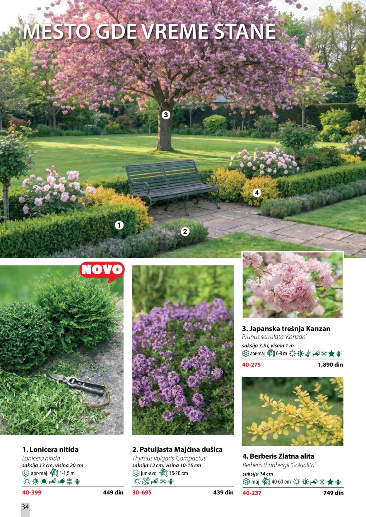 flora-ekspres - Flora Ekspres katalog oktobar 2026 - page: 34