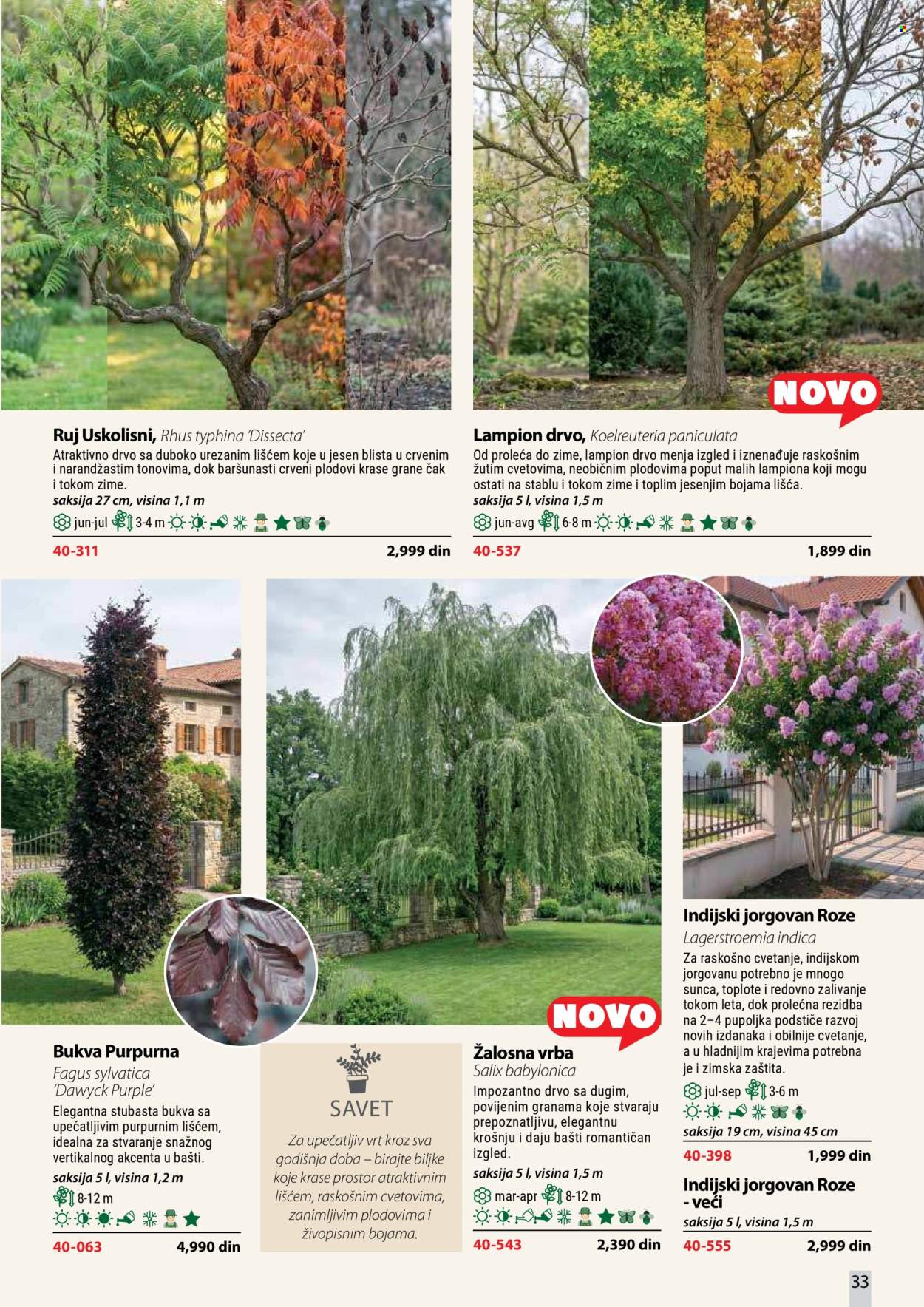 flora-ekspres - Flora Ekspres katalog oktobar 2026 - page: 33