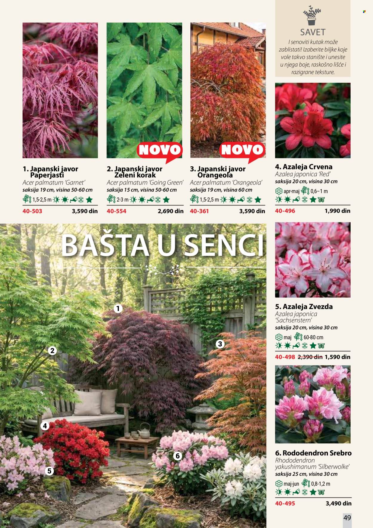 flora-ekspres - Flora Ekspres katalog oktobar 2026 - page: 49