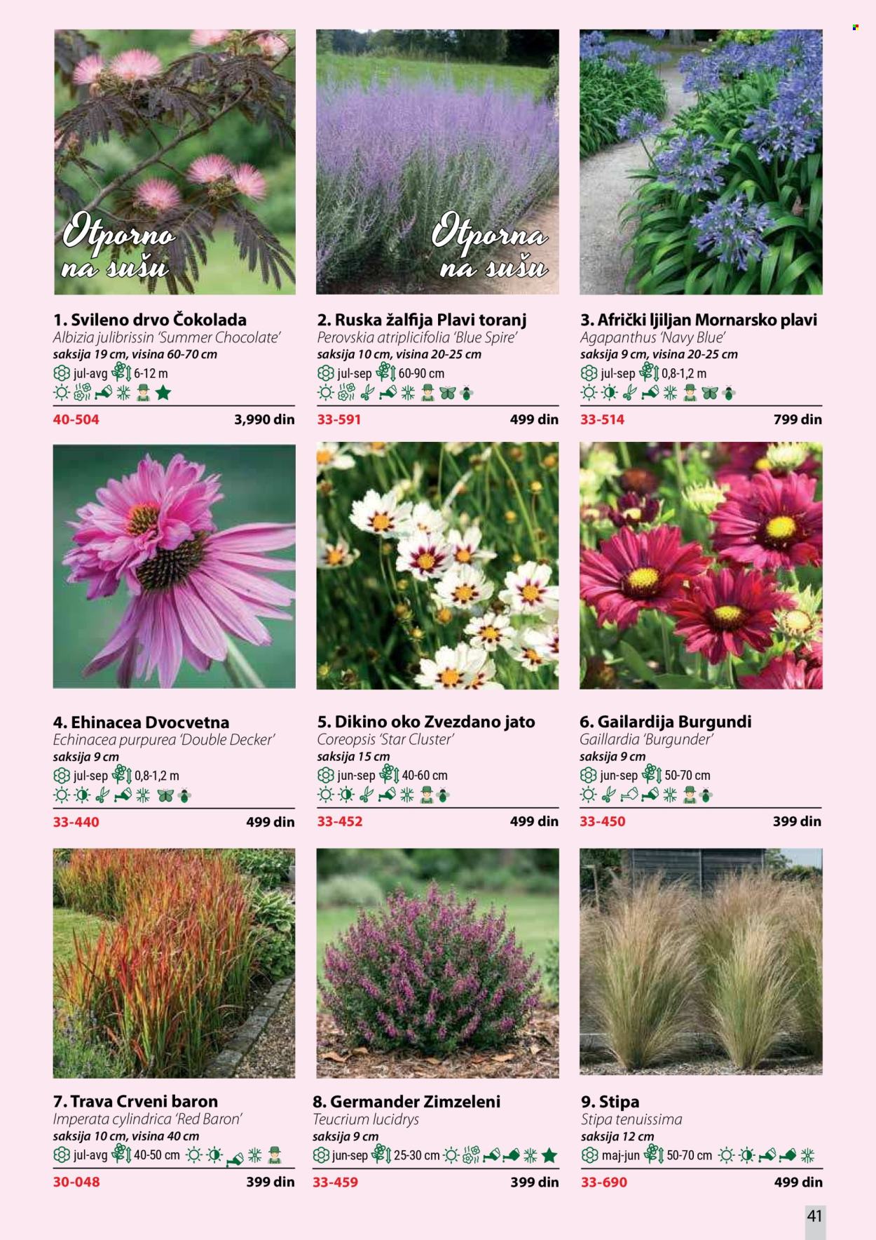 flora-ekspres - Flora Ekspres katalog oktobar 2026 - page: 41
