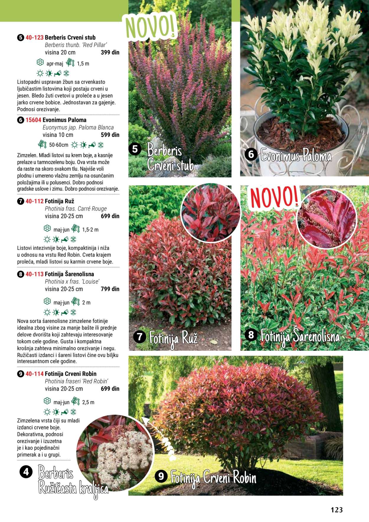 flora-ekspres - Flora Ekspres katalog maj 2024 - strana 1 - page: 123
