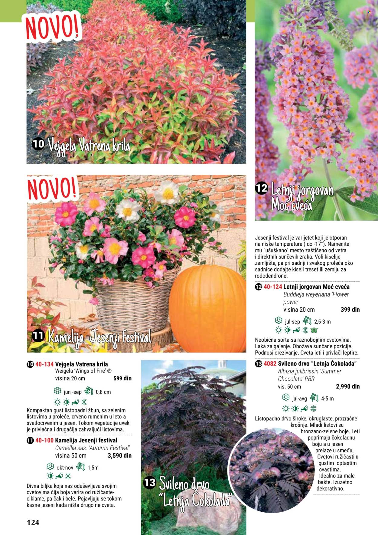 flora-ekspres - Flora Ekspres katalog maj 2024 - strana 1 - page: 124