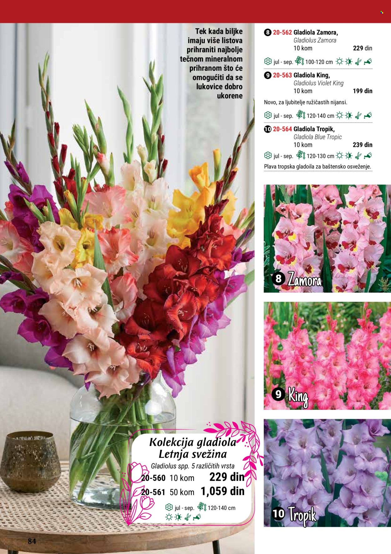 flora-ekspres - Flora Ekspres katalog maj 2024 - strana 1 - page: 84
