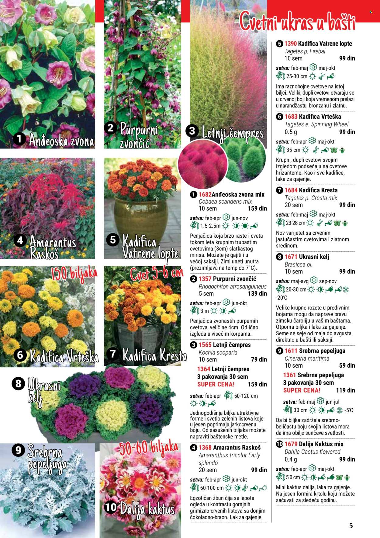 flora-ekspres - Flora Ekspres katalog maj 2024 - strana 1 - page: 5