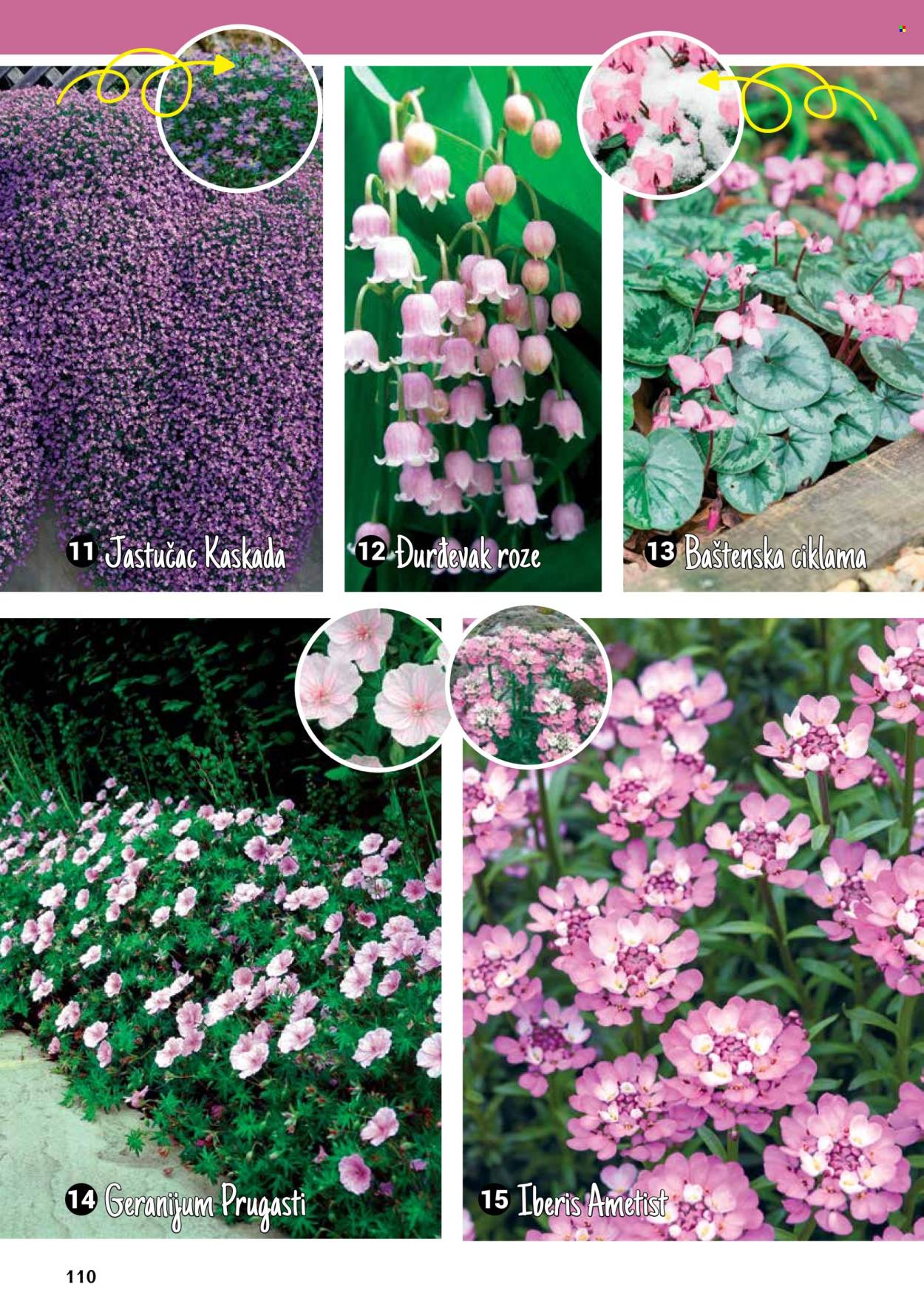 flora-ekspres - Flora Ekspres katalog maj 2024 - strana 1 - page: 110