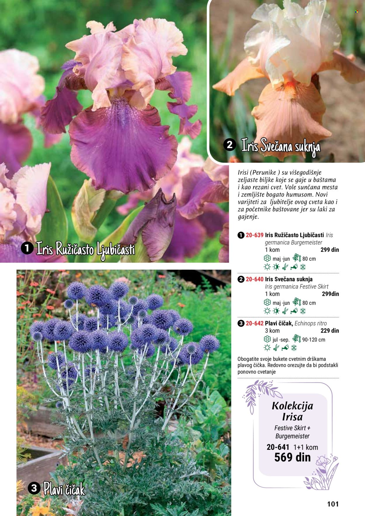flora-ekspres - Flora Ekspres katalog maj 2024 - strana 1 - page: 101