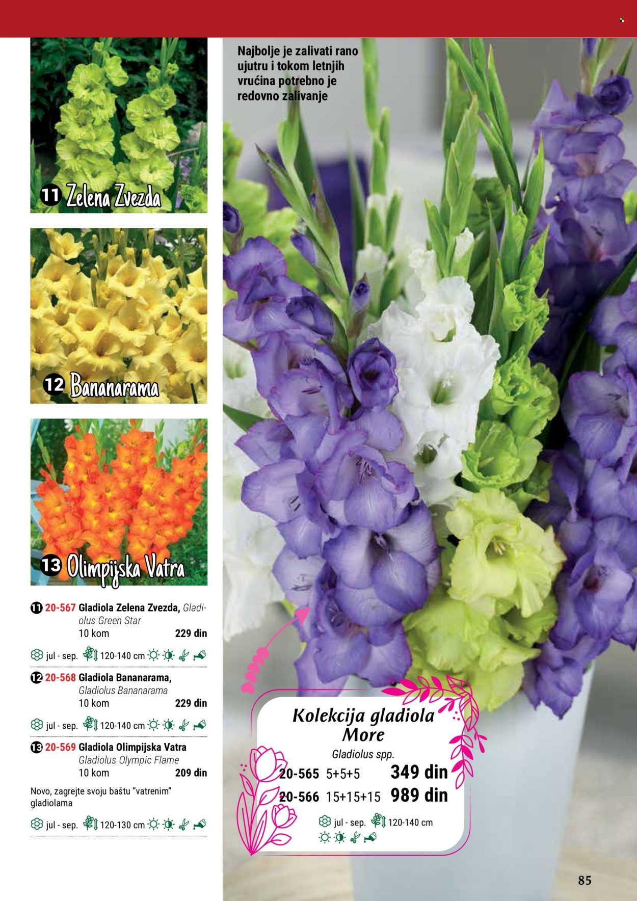 flora-ekspres - Flora Ekspres katalog maj 2024 - strana 1 - page: 85