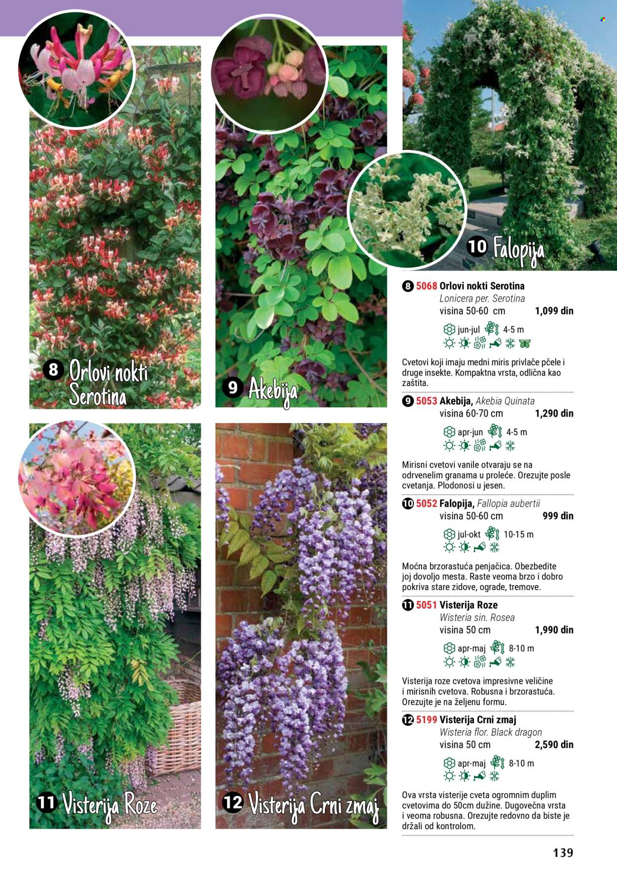 flora-ekspres - Flora Ekspres katalog maj 2024 - strana 1 - page: 139