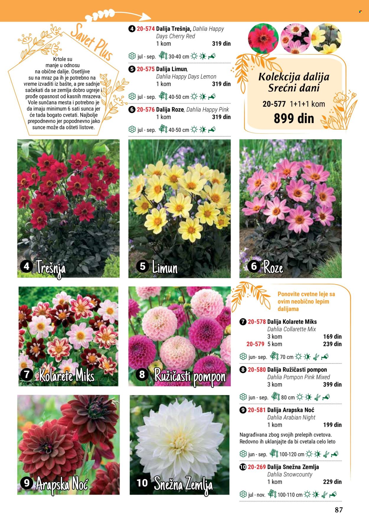 flora-ekspres - Flora Ekspres katalog maj 2024 - strana 1 - page: 87