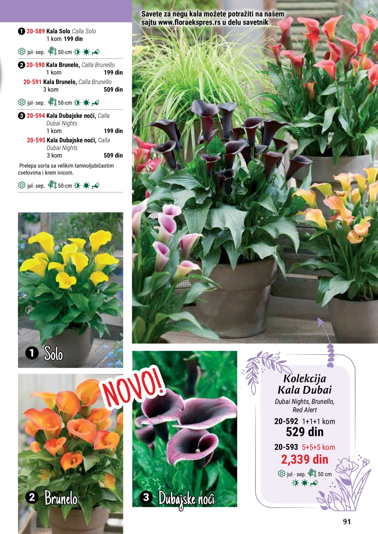 flora-ekspres - Flora Ekspres katalog maj 2024 - strana 1 - page: 91