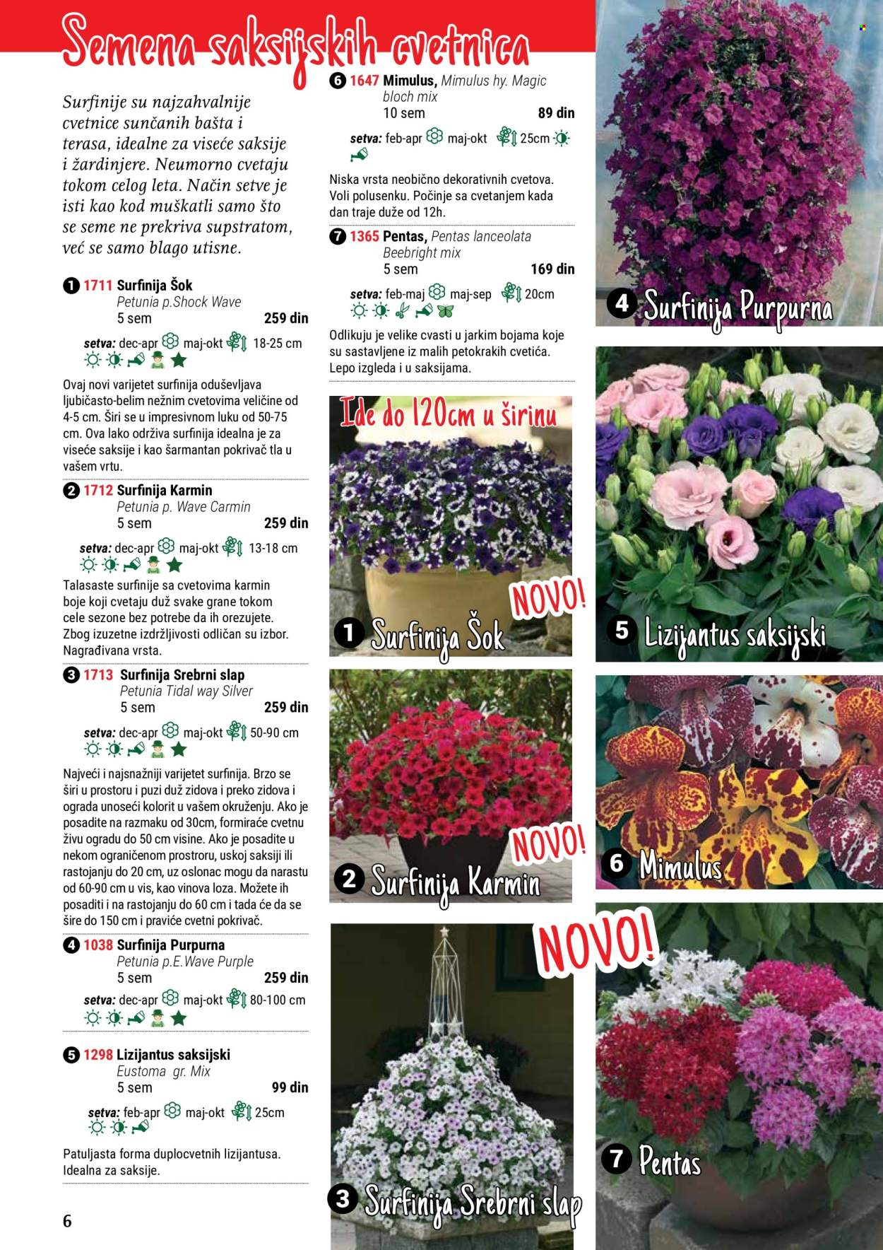 flora-ekspres - Flora Ekspres katalog maj 2024 - strana 1 - page: 6