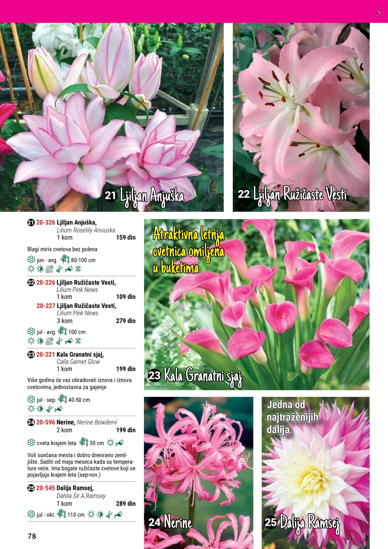 flora-ekspres - Flora Ekspres katalog maj 2024 - strana 1 - page: 78
