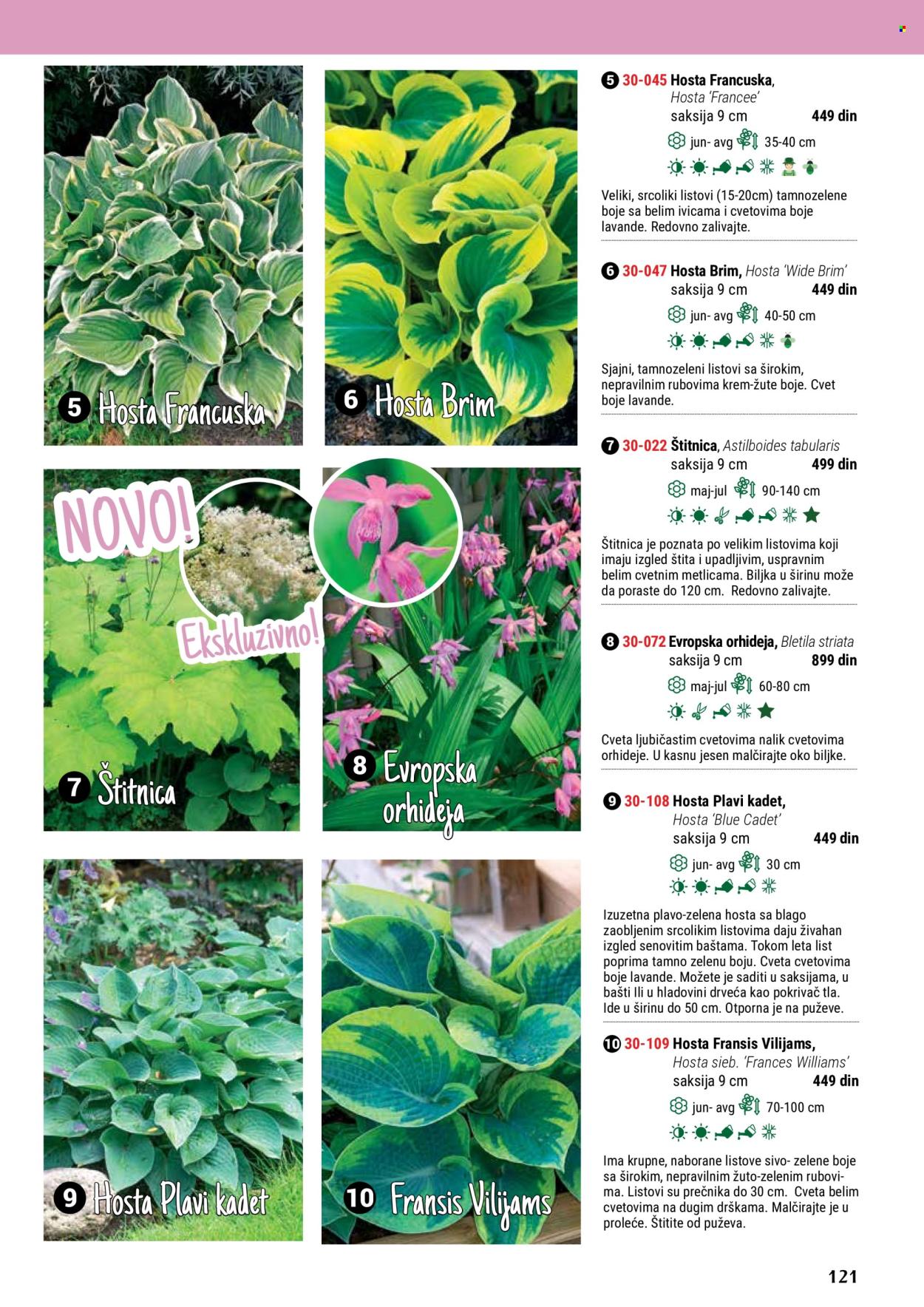 flora-ekspres - Flora Ekspres katalog maj 2024 - strana 1 - page: 121