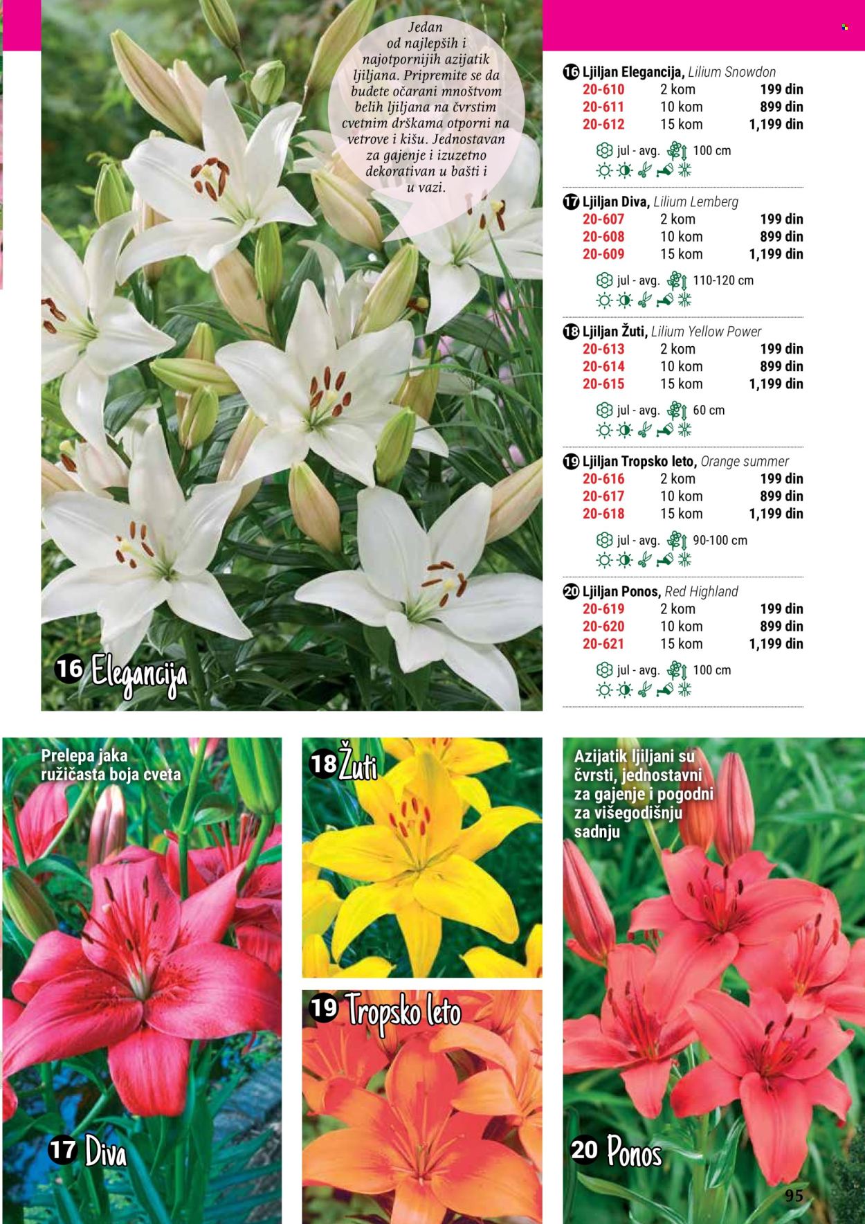 flora-ekspres - Flora Ekspres katalog maj 2024 - strana 1 - page: 95