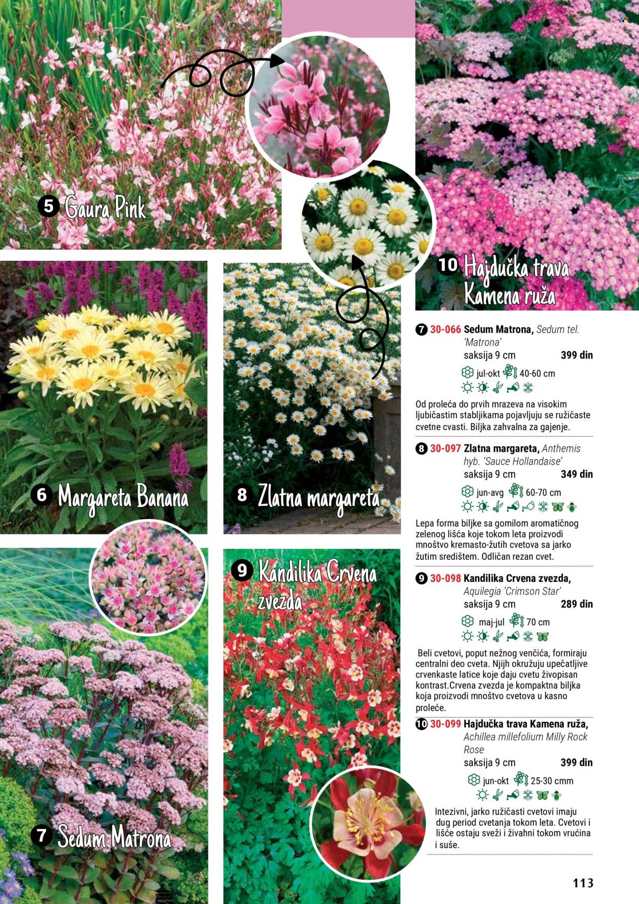 flora-ekspres - Flora Ekspres katalog maj 2024 - strana 1 - page: 113