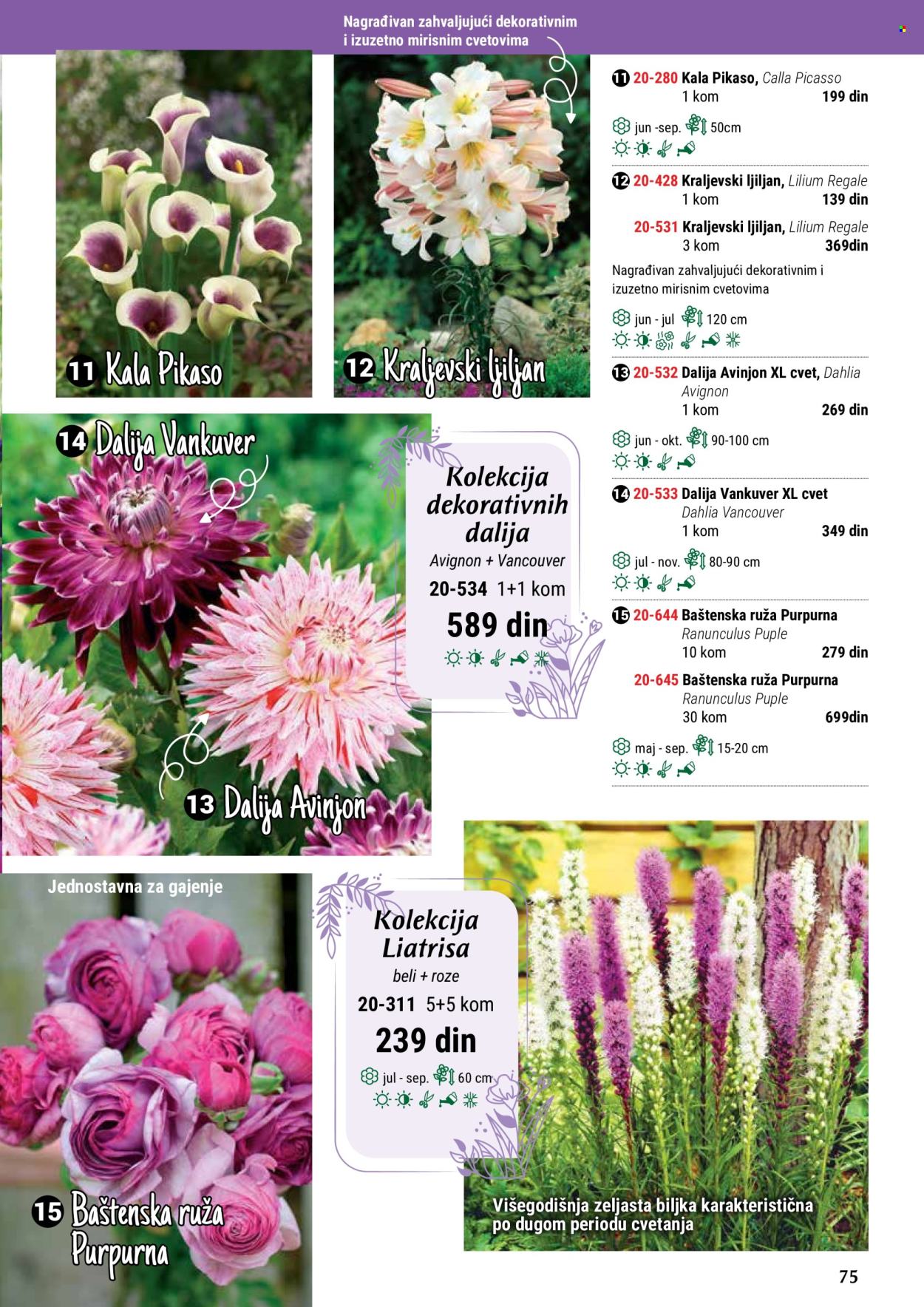 flora-ekspres - Flora Ekspres katalog maj 2024 - strana 1 - page: 75