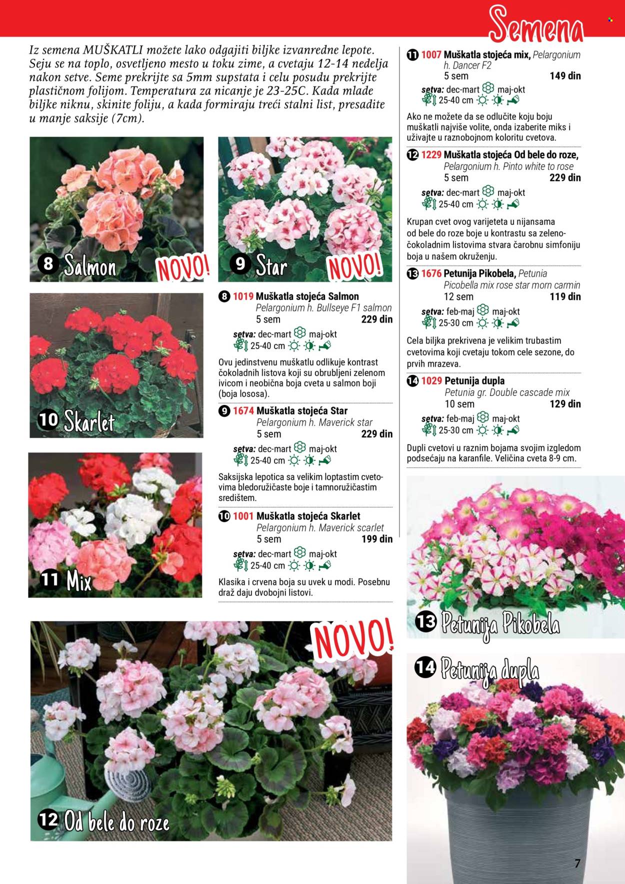 flora-ekspres - Flora Ekspres katalog maj 2024 - strana 1 - page: 7