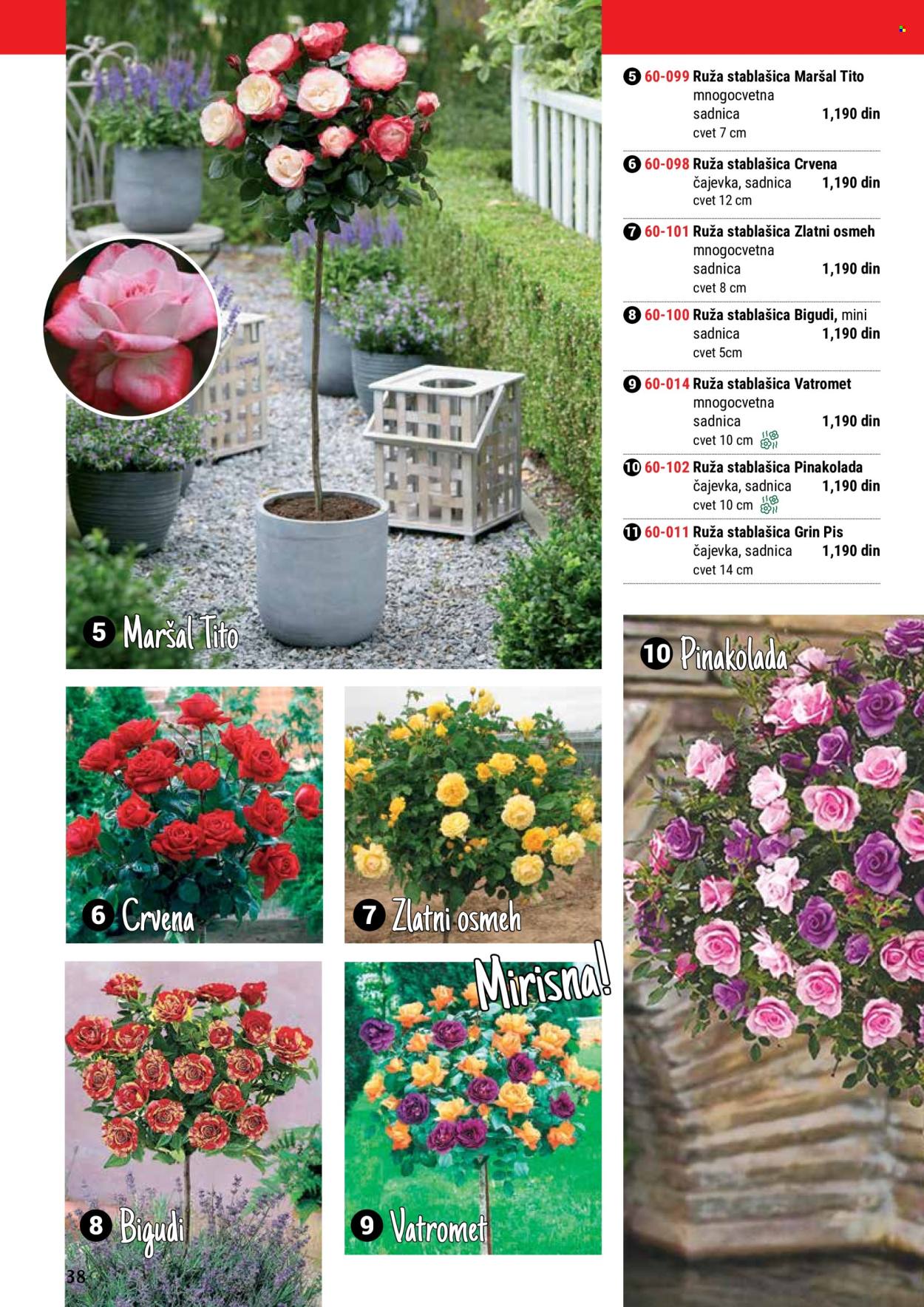 flora-ekspres - Flora Ekspres katalog maj 2024 - strana 1 - page: 38