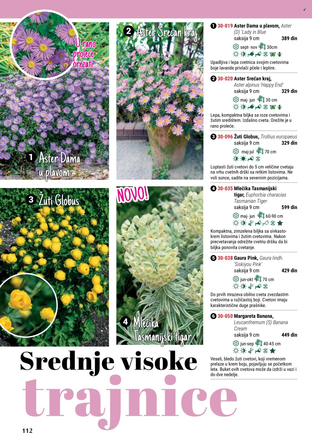 flora-ekspres - Flora Ekspres katalog maj 2024 - strana 1 - page: 112