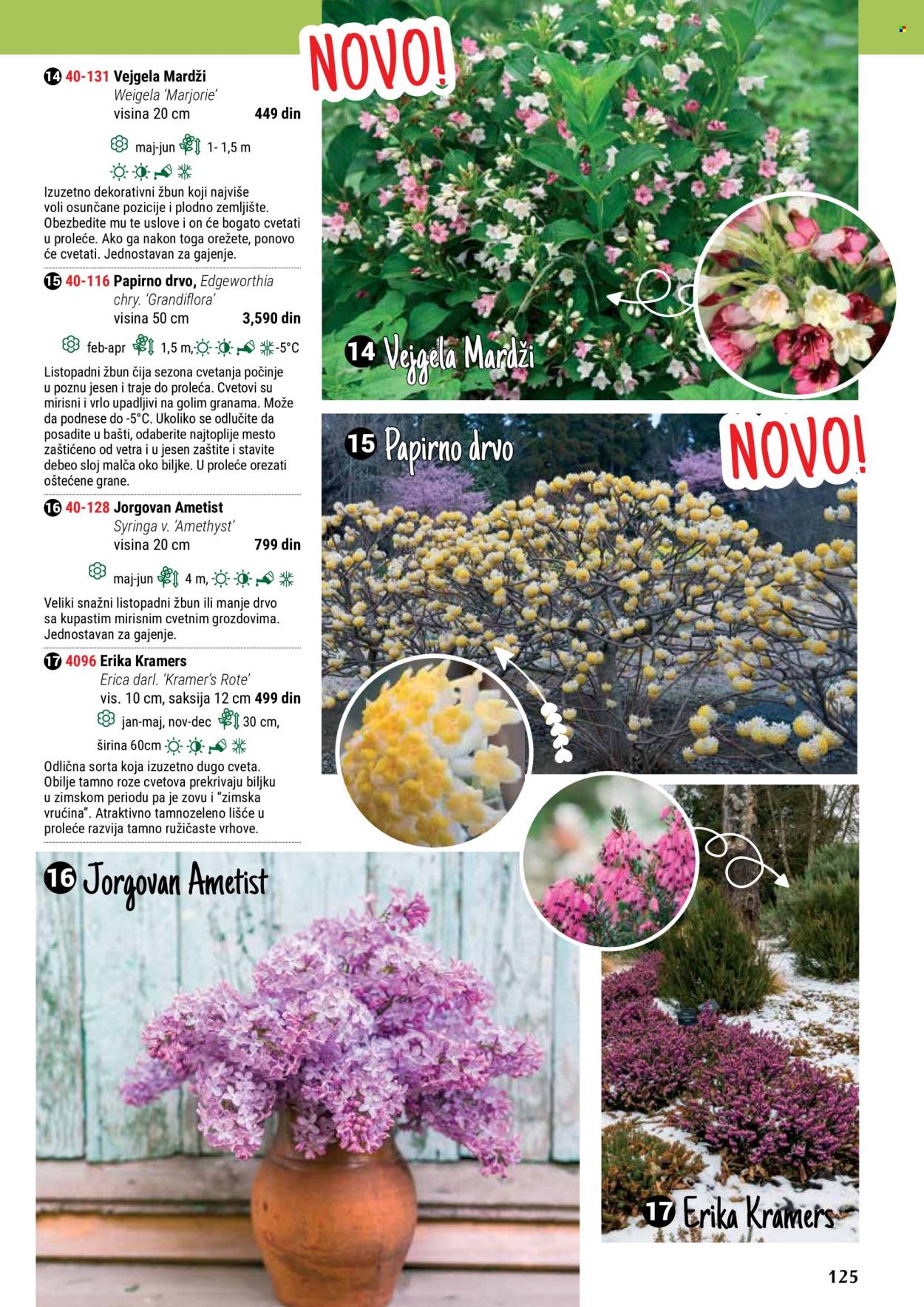 flora-ekspres - Flora Ekspres katalog maj 2024 - strana 1 - page: 125