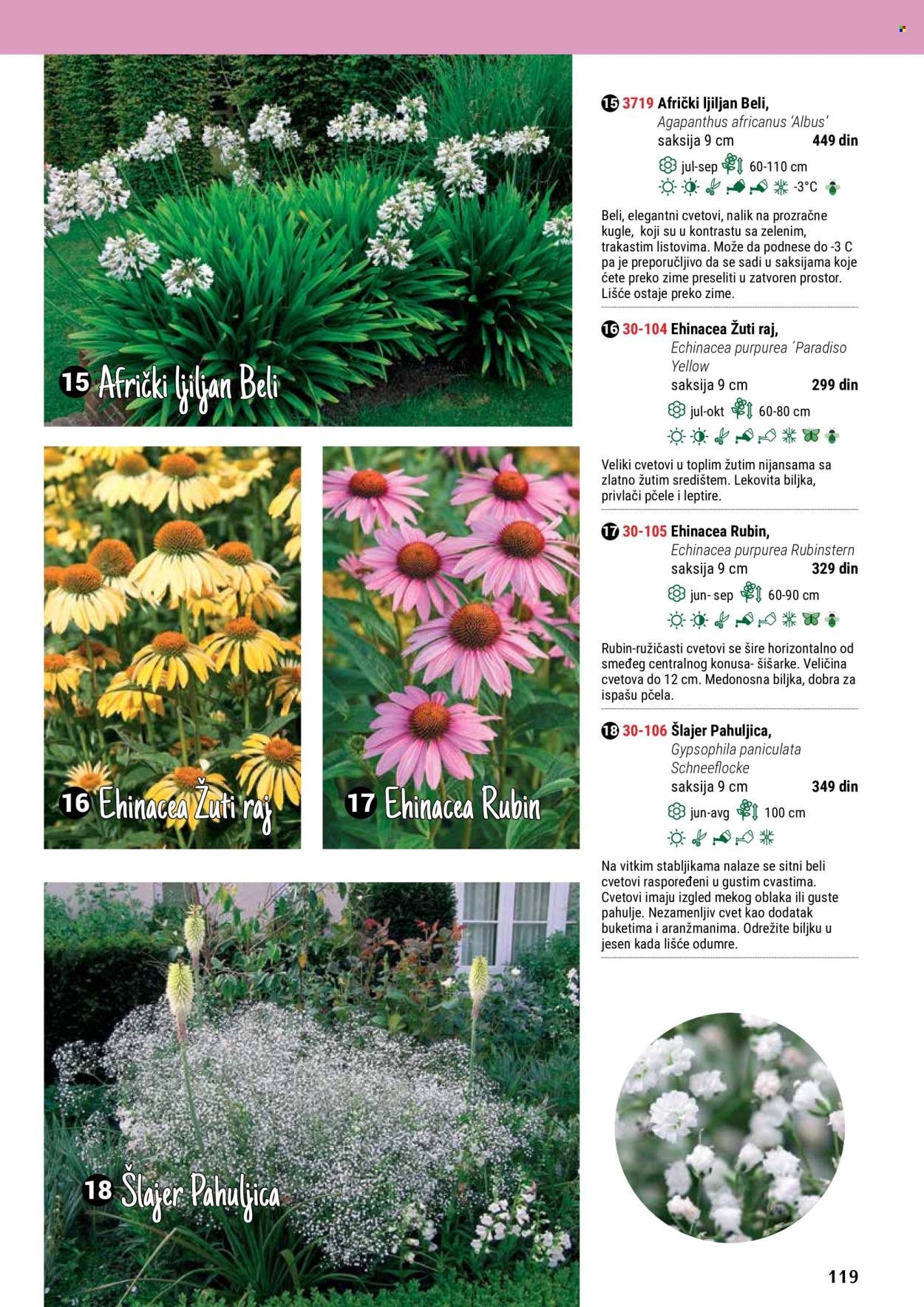 flora-ekspres - Flora Ekspres katalog maj 2024 - strana 1 - page: 119
