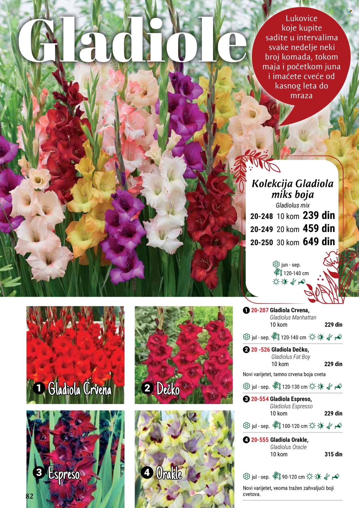flora-ekspres - Flora Ekspres katalog maj 2024 - strana 1 - page: 82