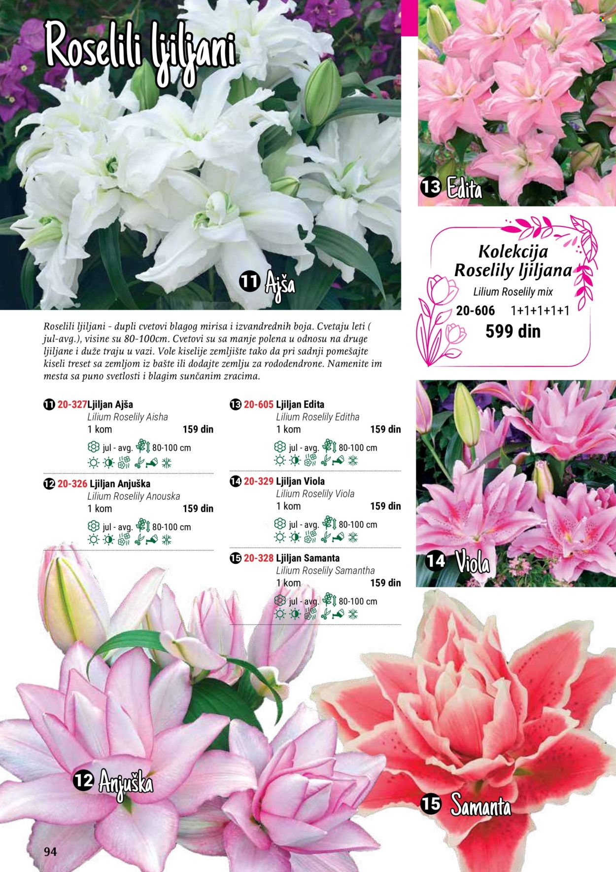 flora-ekspres - Flora Ekspres katalog maj 2024 - strana 1 - page: 94