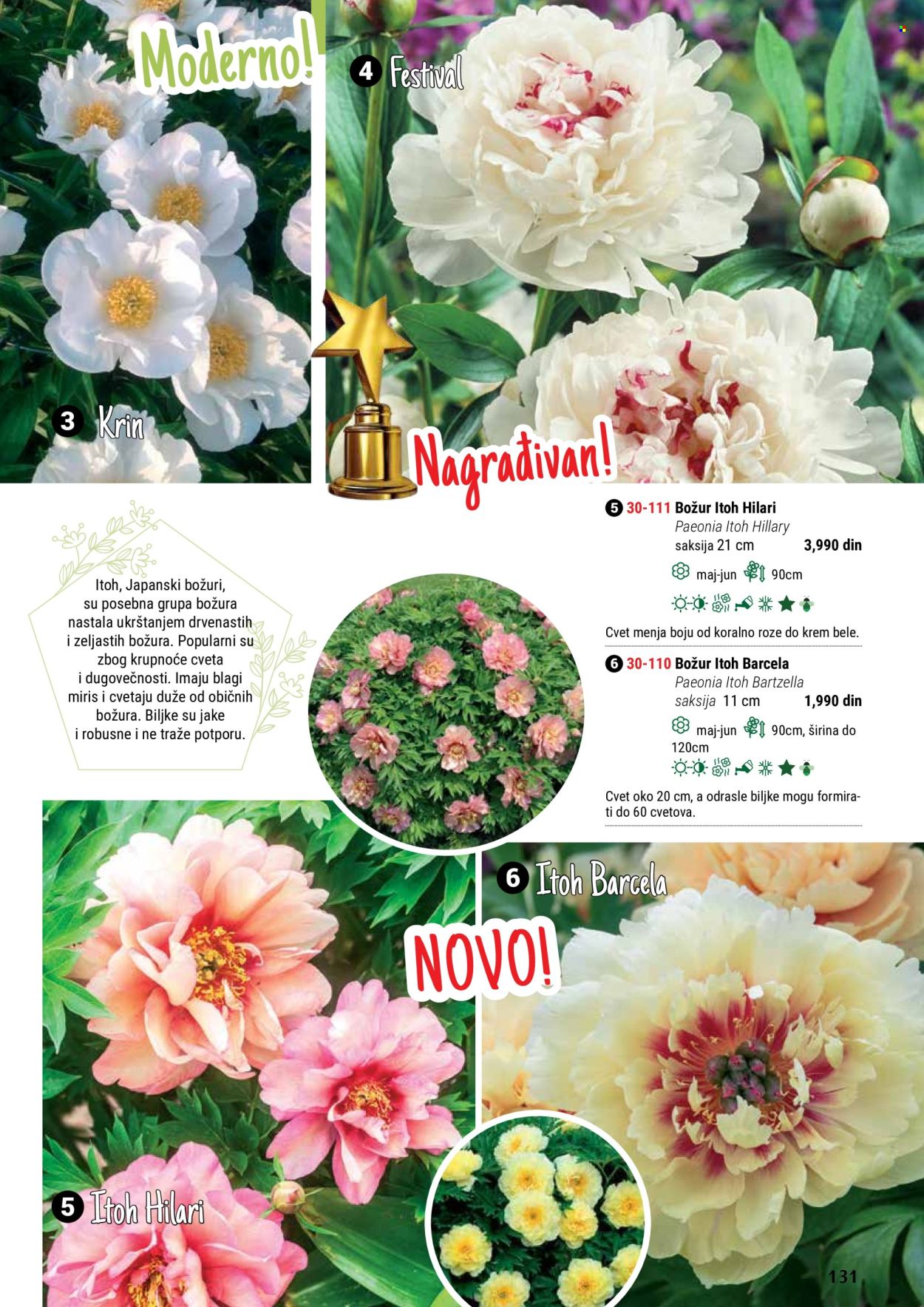 flora-ekspres - Flora Ekspres katalog maj 2024 - strana 1 - page: 131