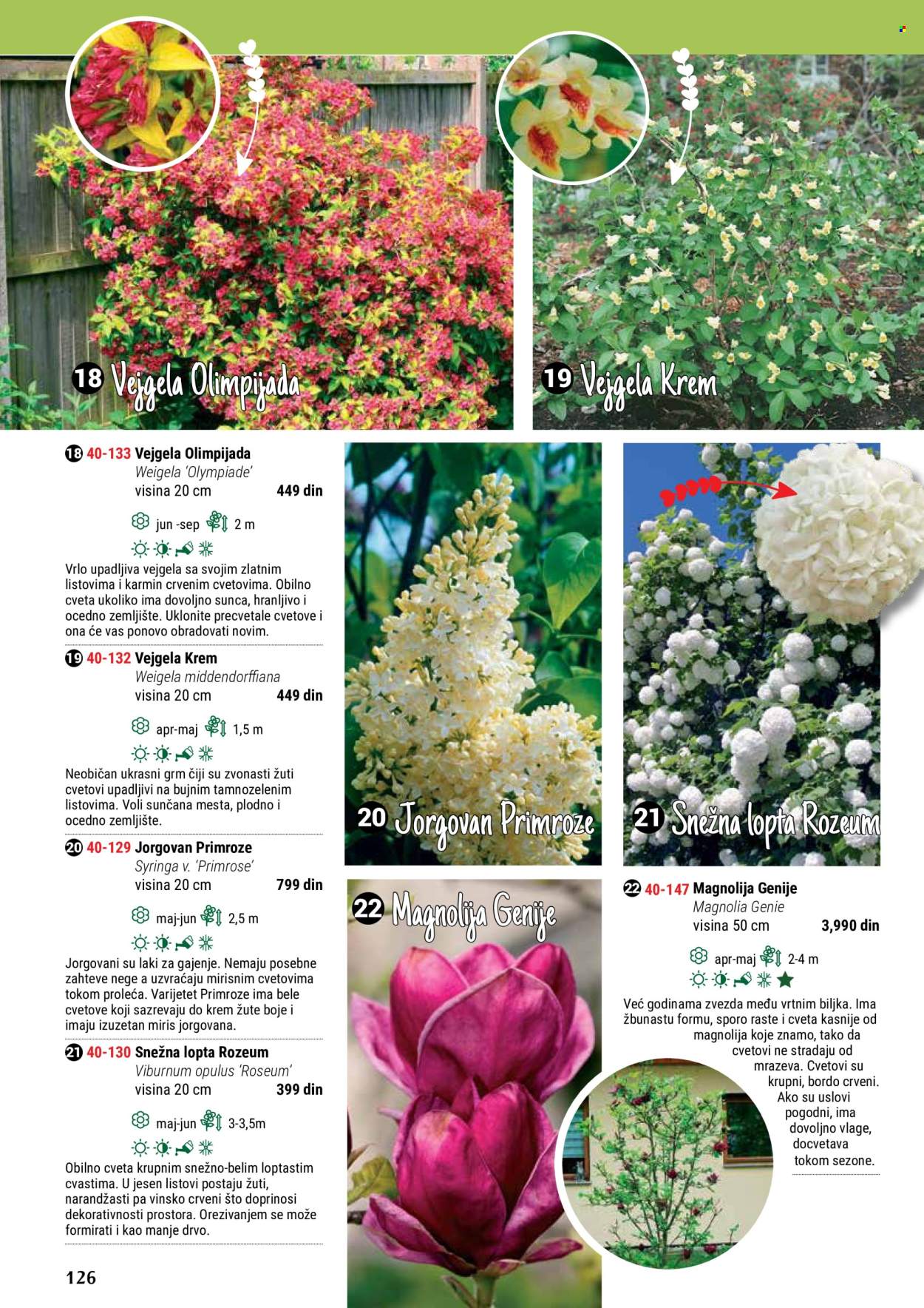 flora-ekspres - Flora Ekspres katalog maj 2024 - strana 1 - page: 126