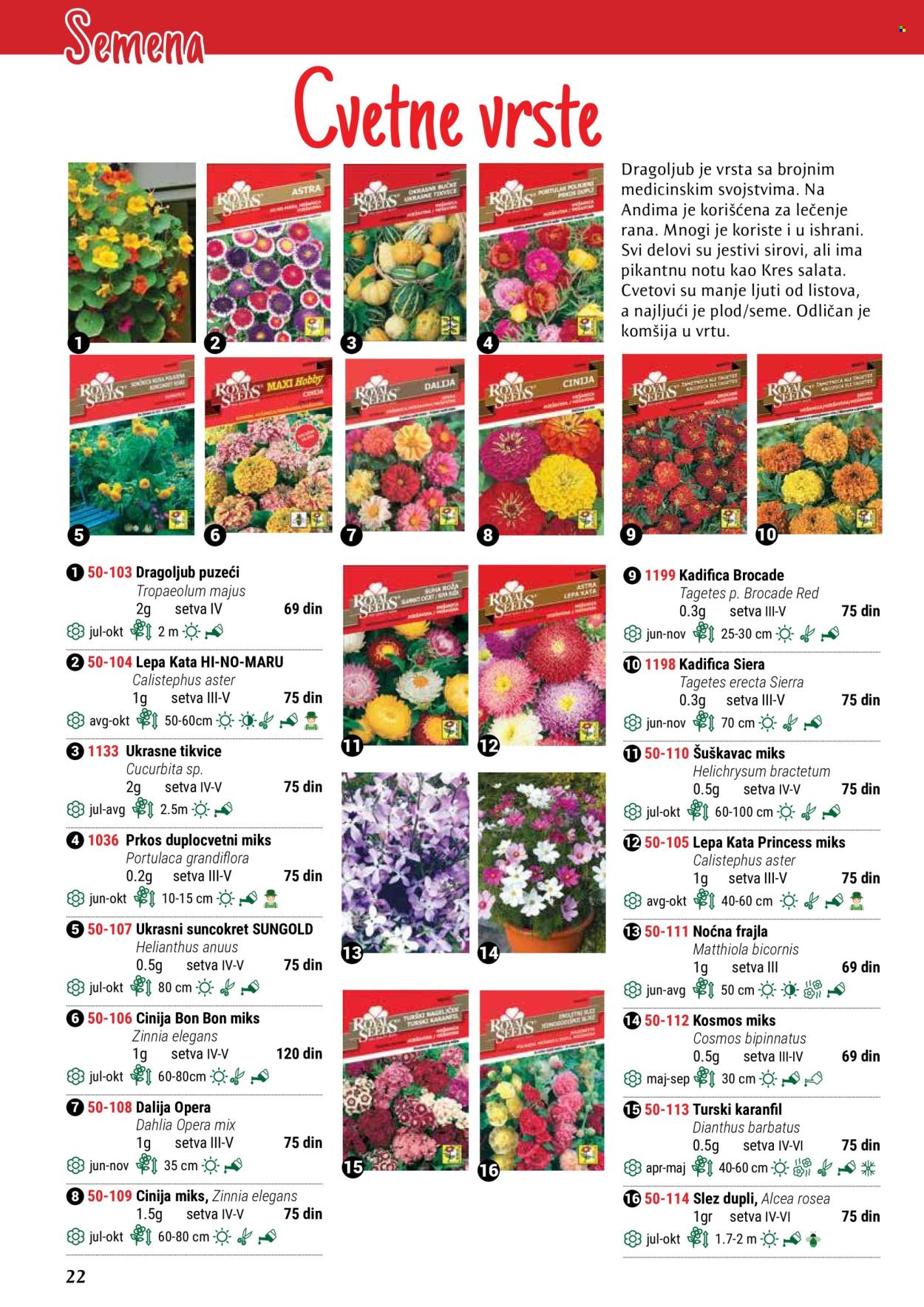 flora-ekspres - Flora Ekspres katalog maj 2024 - strana 1 - page: 22
