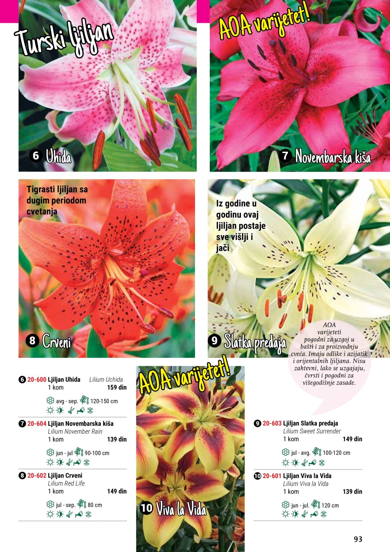 flora-ekspres - Flora Ekspres katalog maj 2024 - strana 1 - page: 93