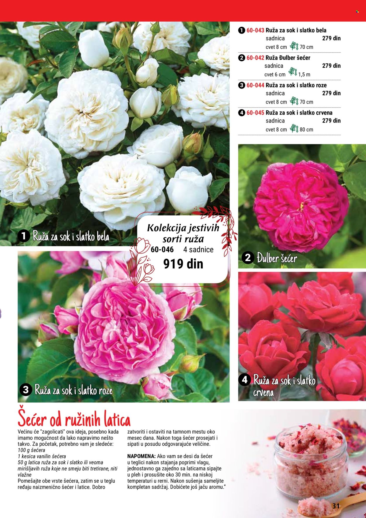 flora-ekspres - Flora Ekspres katalog maj 2024 - strana 1 - page: 31