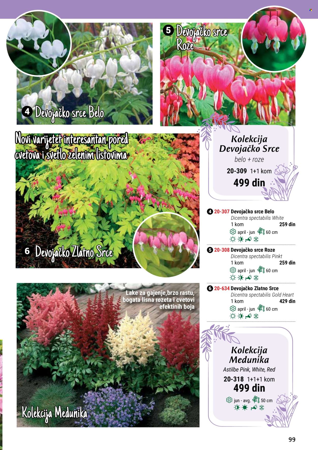 flora-ekspres - Flora Ekspres katalog maj 2024 - strana 1 - page: 99
