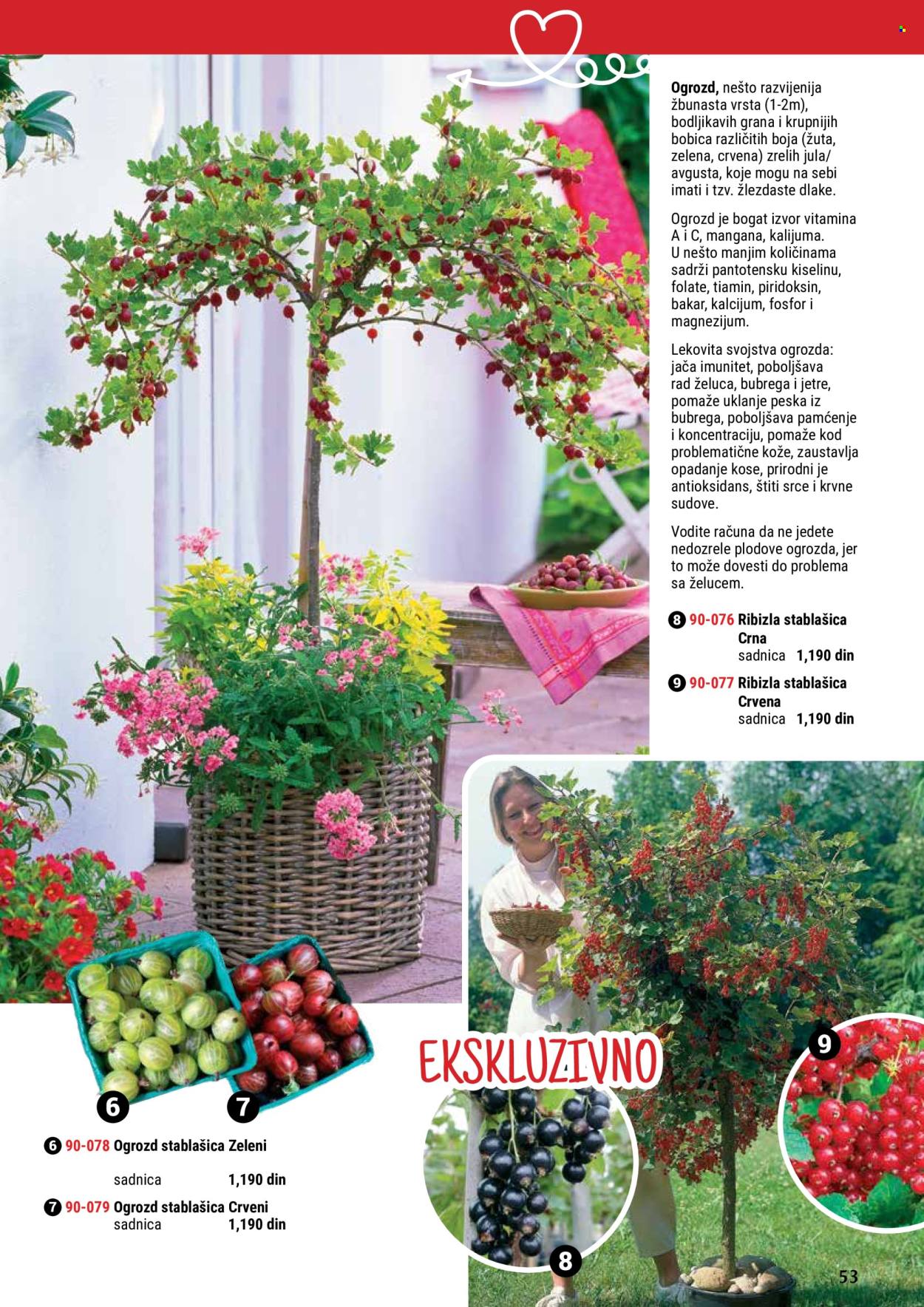 flora-ekspres - Flora Ekspres katalog maj 2024 - strana 1 - page: 53