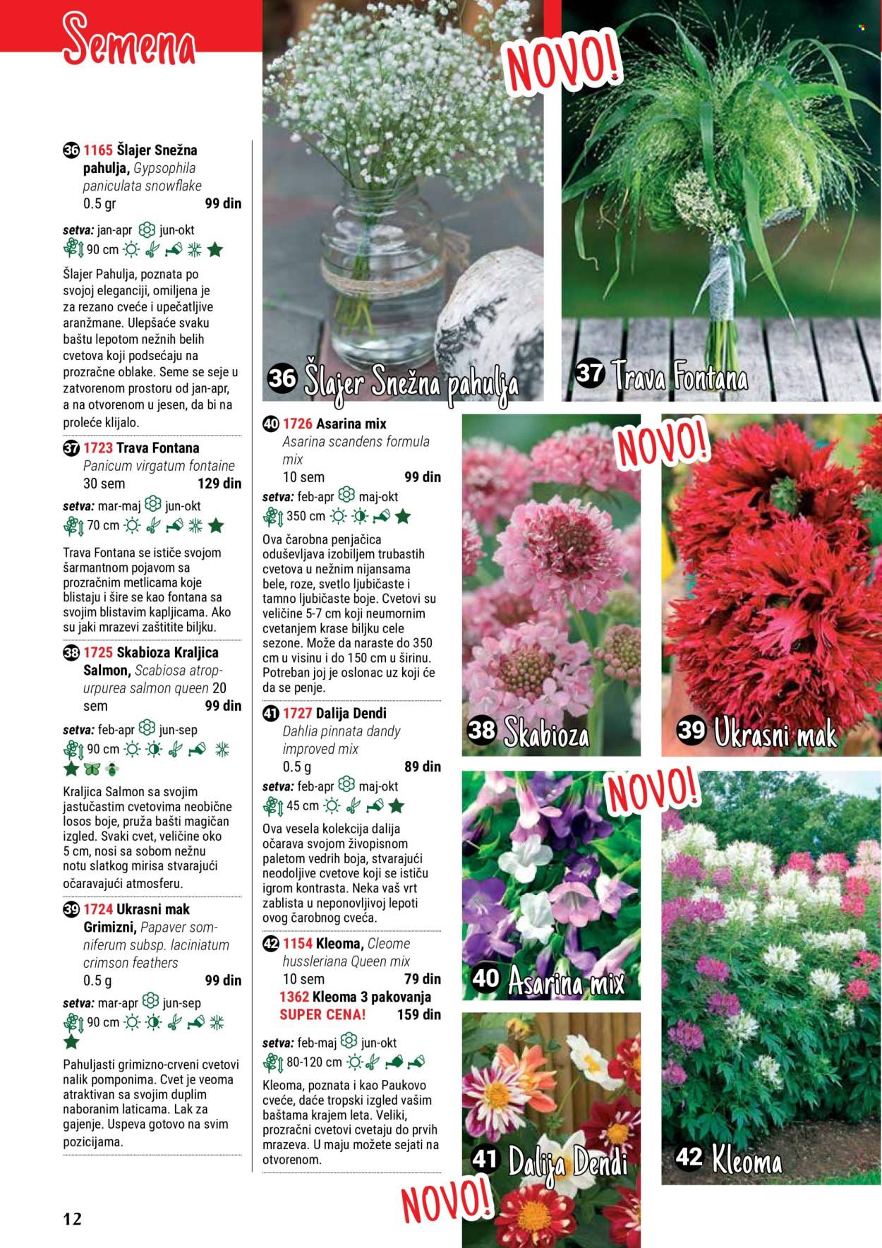 flora-ekspres - Flora Ekspres katalog maj 2024 - strana 1 - page: 12