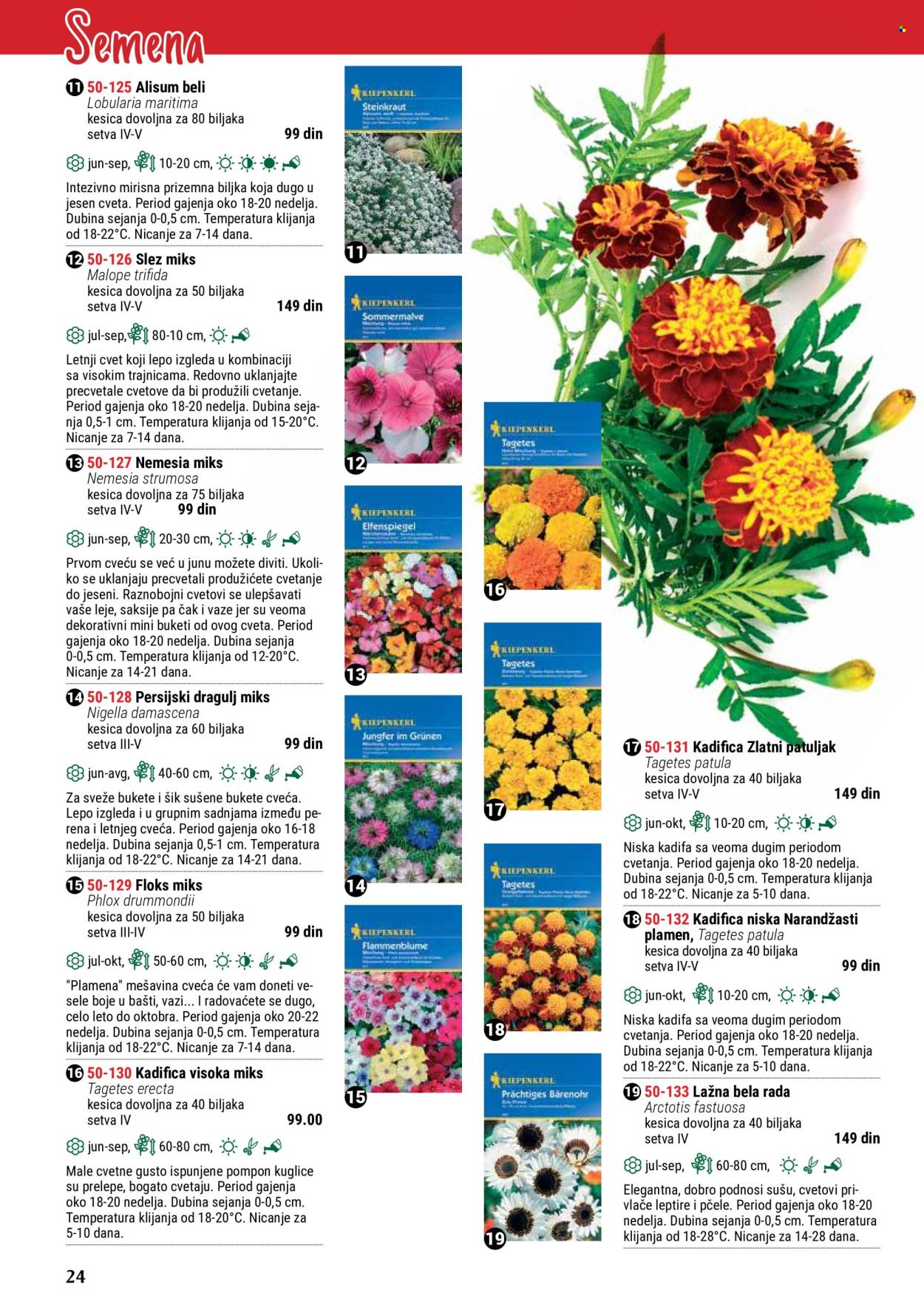 flora-ekspres - Flora Ekspres katalog maj 2024 - strana 1 - page: 24