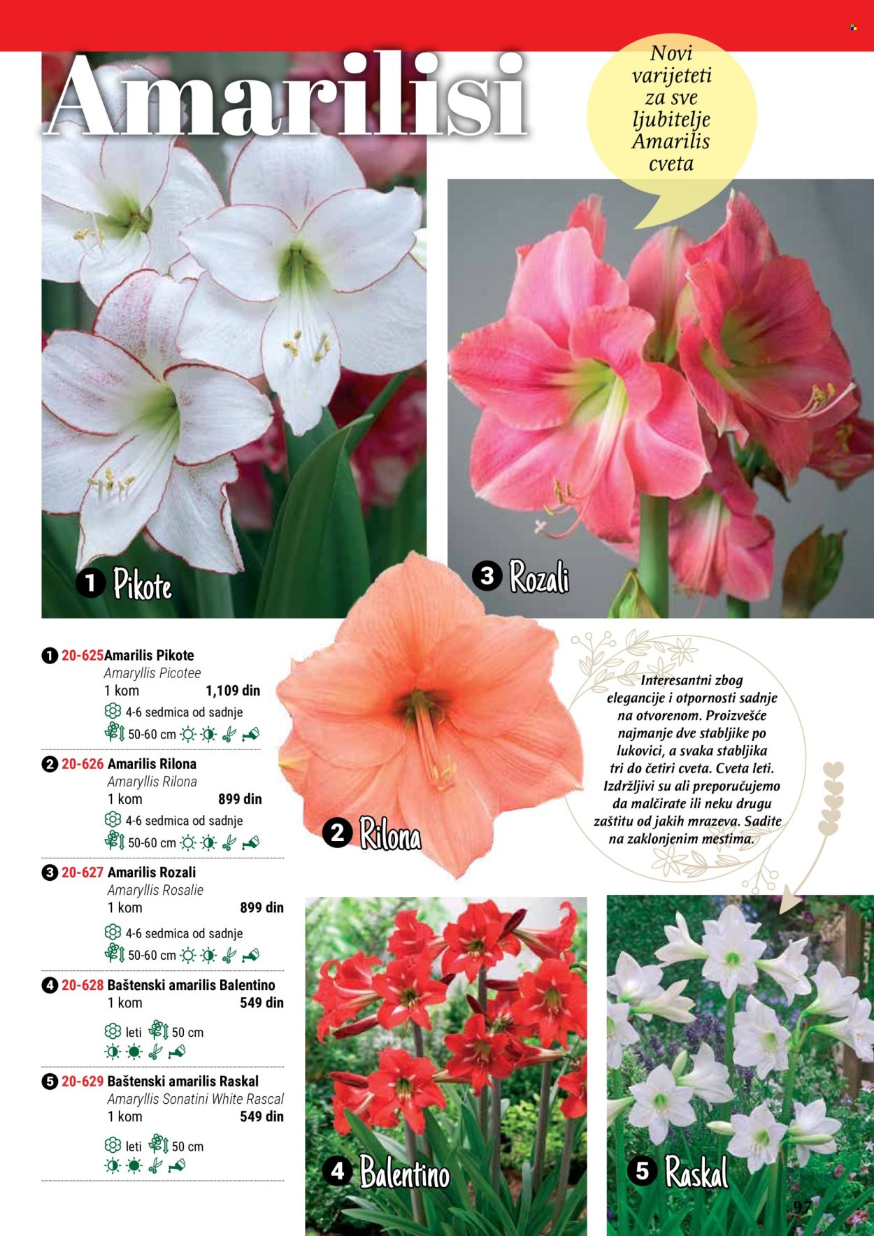 flora-ekspres - Flora Ekspres katalog maj 2024 - strana 1 - page: 97