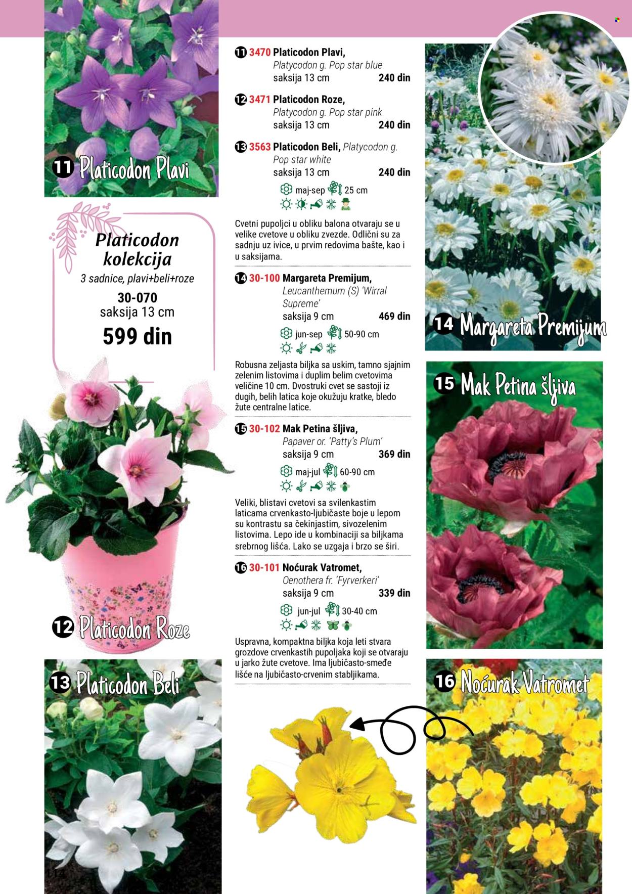 flora-ekspres - Flora Ekspres katalog maj 2024 - strana 1 - page: 114