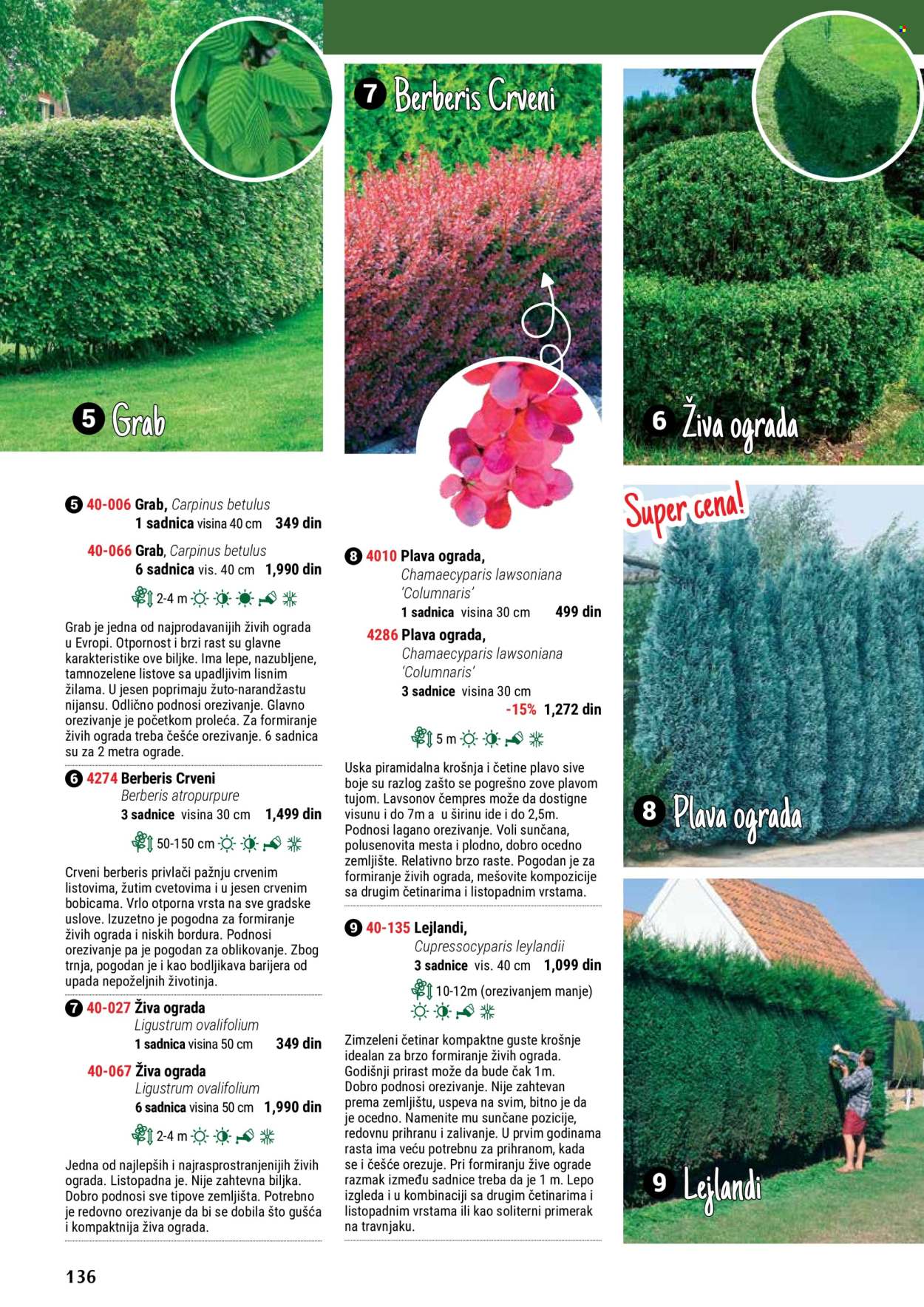 flora-ekspres - Flora Ekspres katalog maj 2024 - strana 1 - page: 136