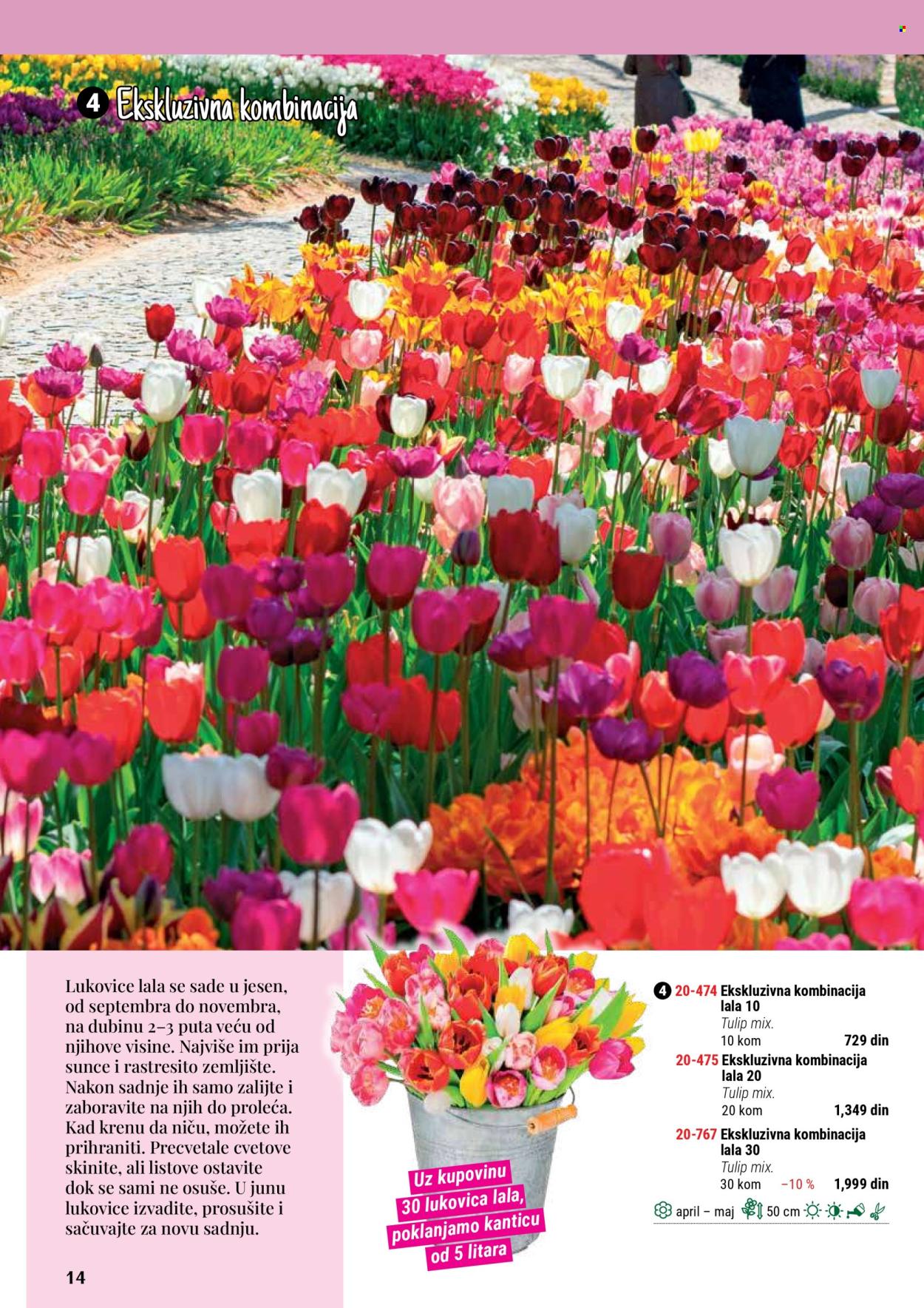 flora-ekspres - Flora Ekspres katalog septembar 2025 - page: 14 flora-ekspres - Flora Ekspres katalog septembar 2025 - page: 14
