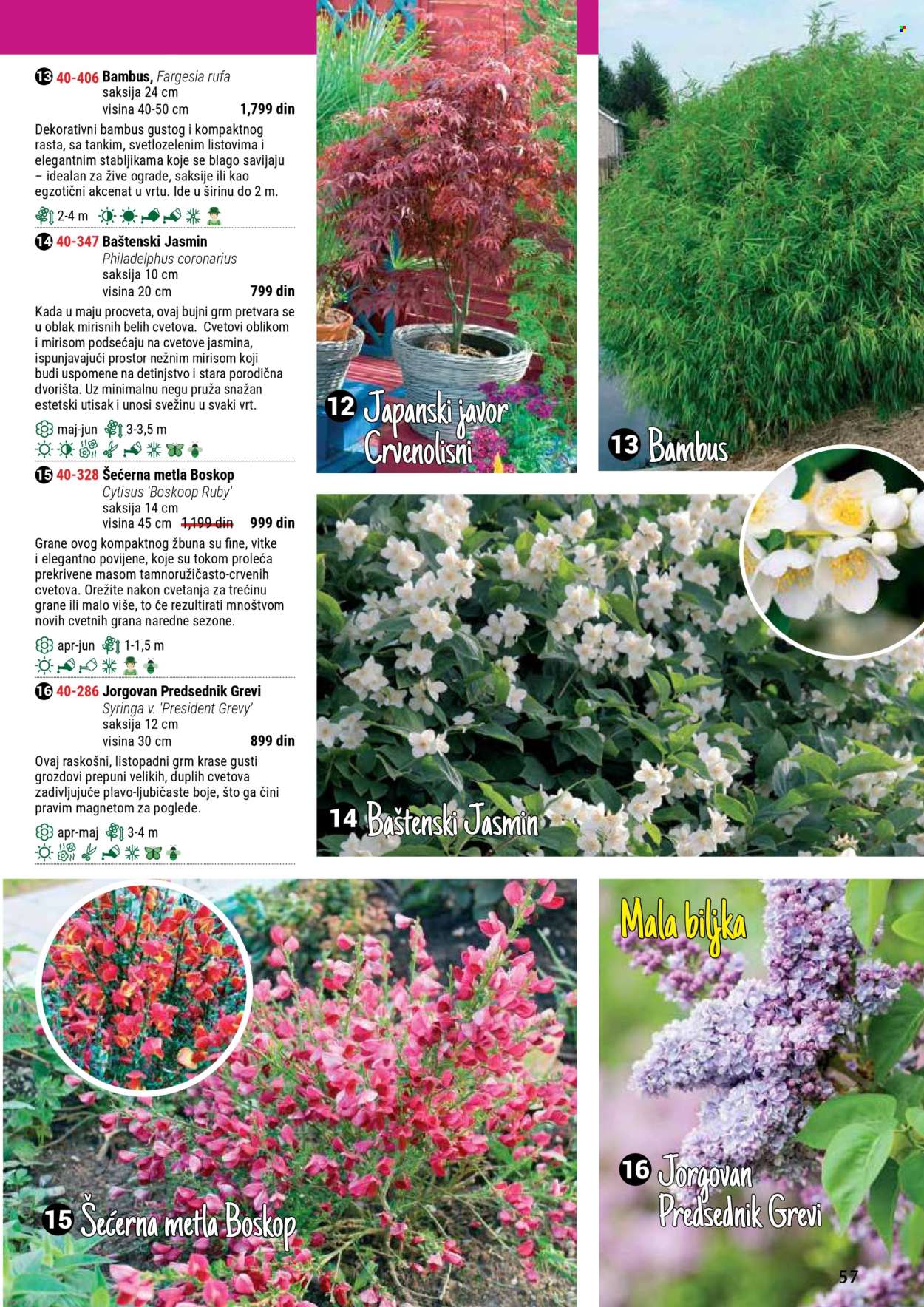 flora-ekspres - Flora Ekspres katalog septembar 2025 - page: 57 flora-ekspres - Flora Ekspres katalog septembar 2025 - page: 57