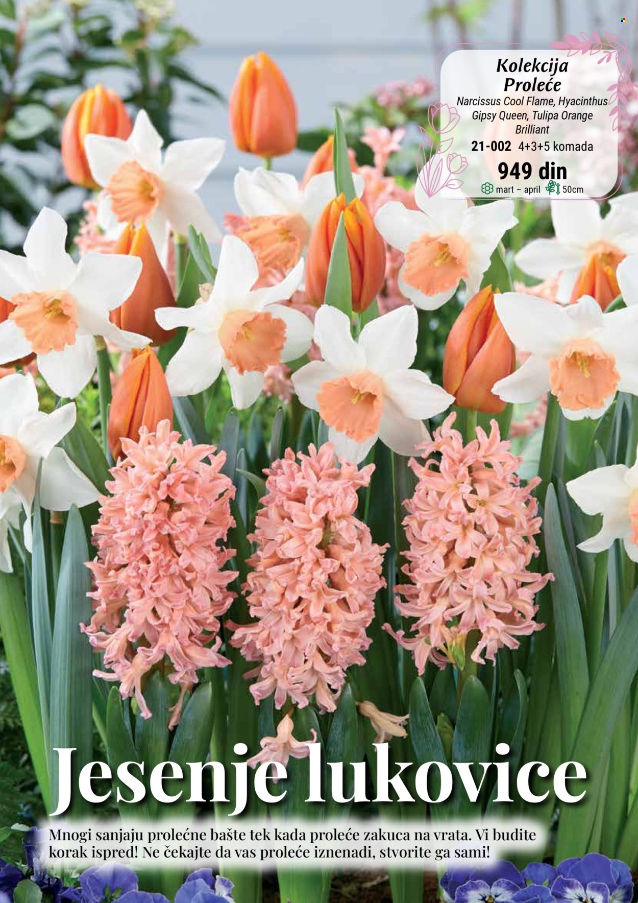 flora-ekspres - Flora Ekspres katalog septembar 2025 - page: 12 flora-ekspres - Flora Ekspres katalog septembar 2025 - page: 12