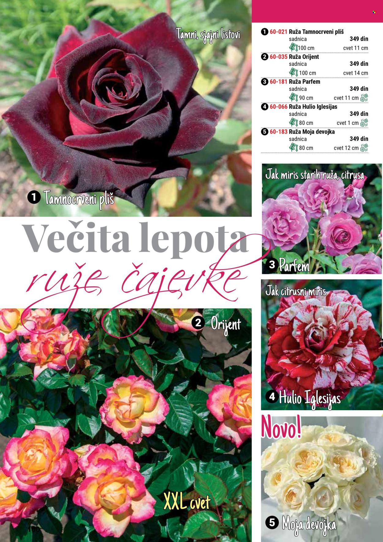 flora-ekspres - Flora Ekspres katalog septembar 2025 - page: 100 flora-ekspres - Flora Ekspres katalog septembar 2025 - page: 100