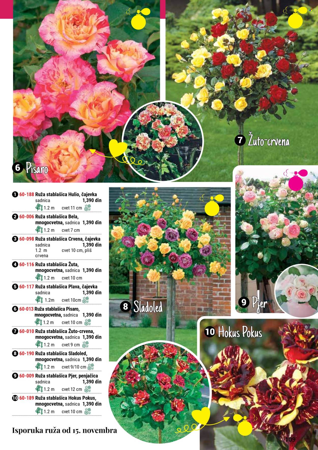 flora-ekspres - Flora Ekspres katalog septembar 2025 - page: 109 flora-ekspres - Flora Ekspres katalog septembar 2025 - page: 109