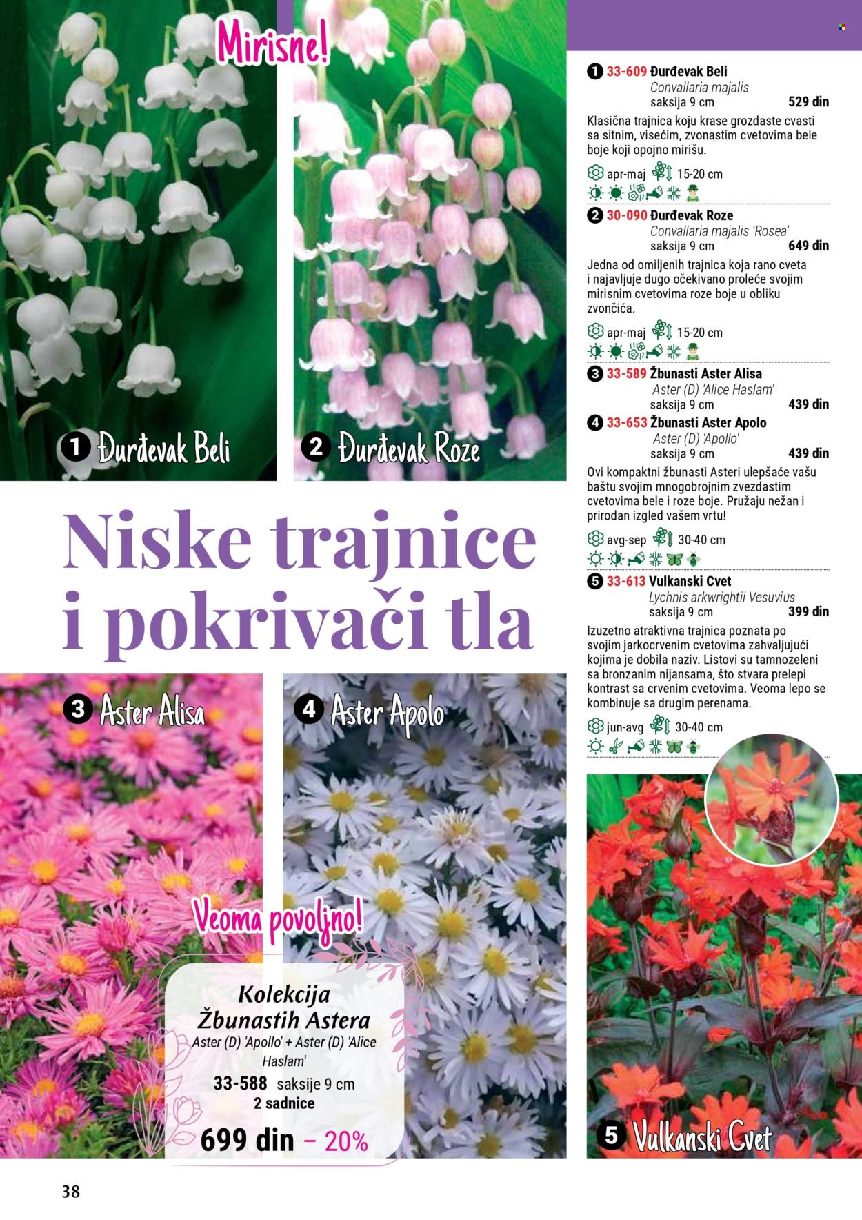 flora-ekspres - Flora Ekspres katalog septembar 2025 - page: 38 flora-ekspres - Flora Ekspres katalog septembar 2025 - page: 38