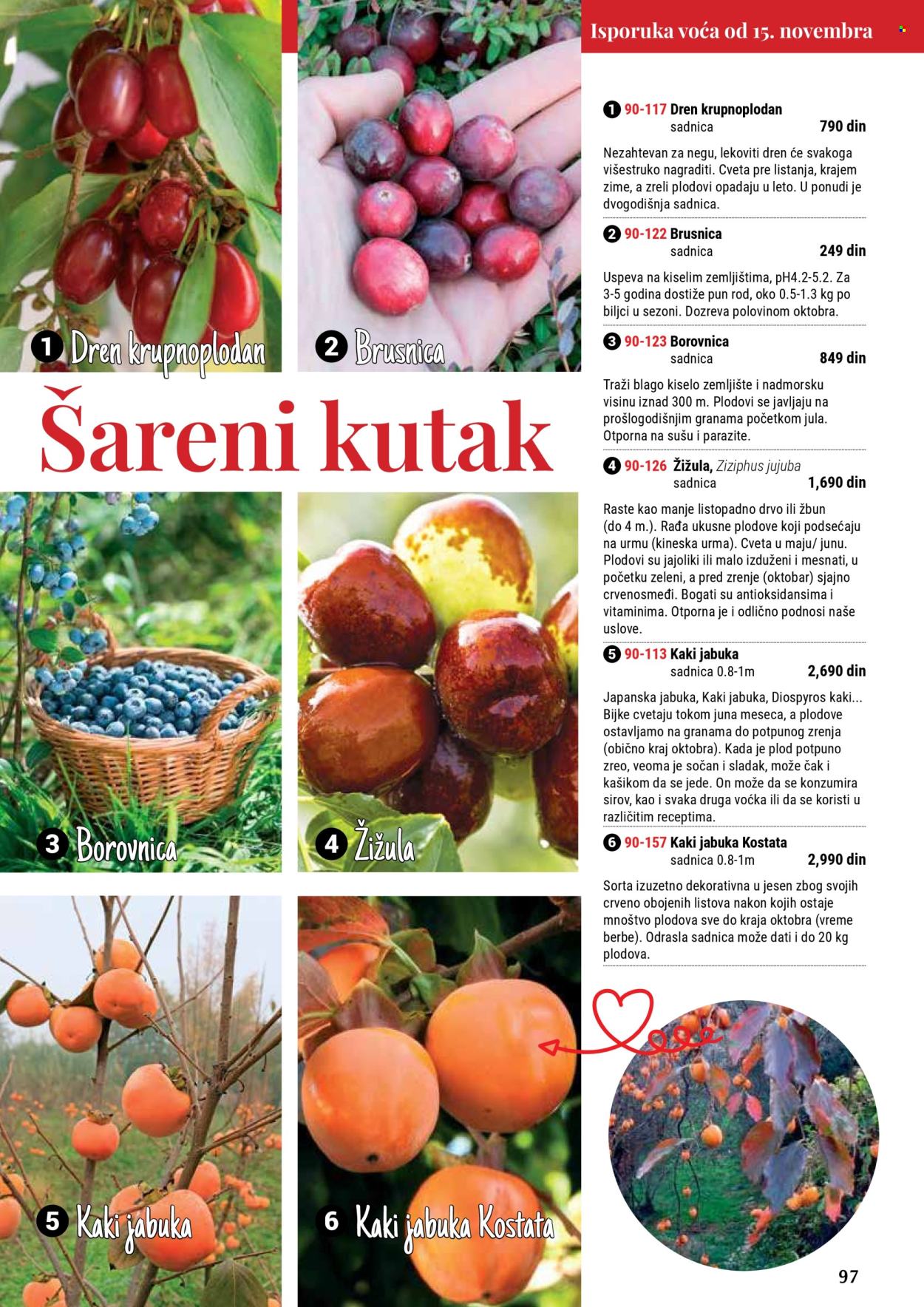 flora-ekspres - Flora Ekspres katalog septembar 2025 - page: 97 flora-ekspres - Flora Ekspres katalog septembar 2025 - page: 97