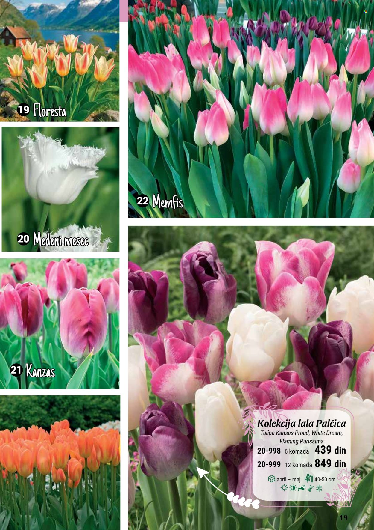 flora-ekspres - Flora Ekspres katalog septembar 2025 - page: 19 flora-ekspres - Flora Ekspres katalog septembar 2025 - page: 19