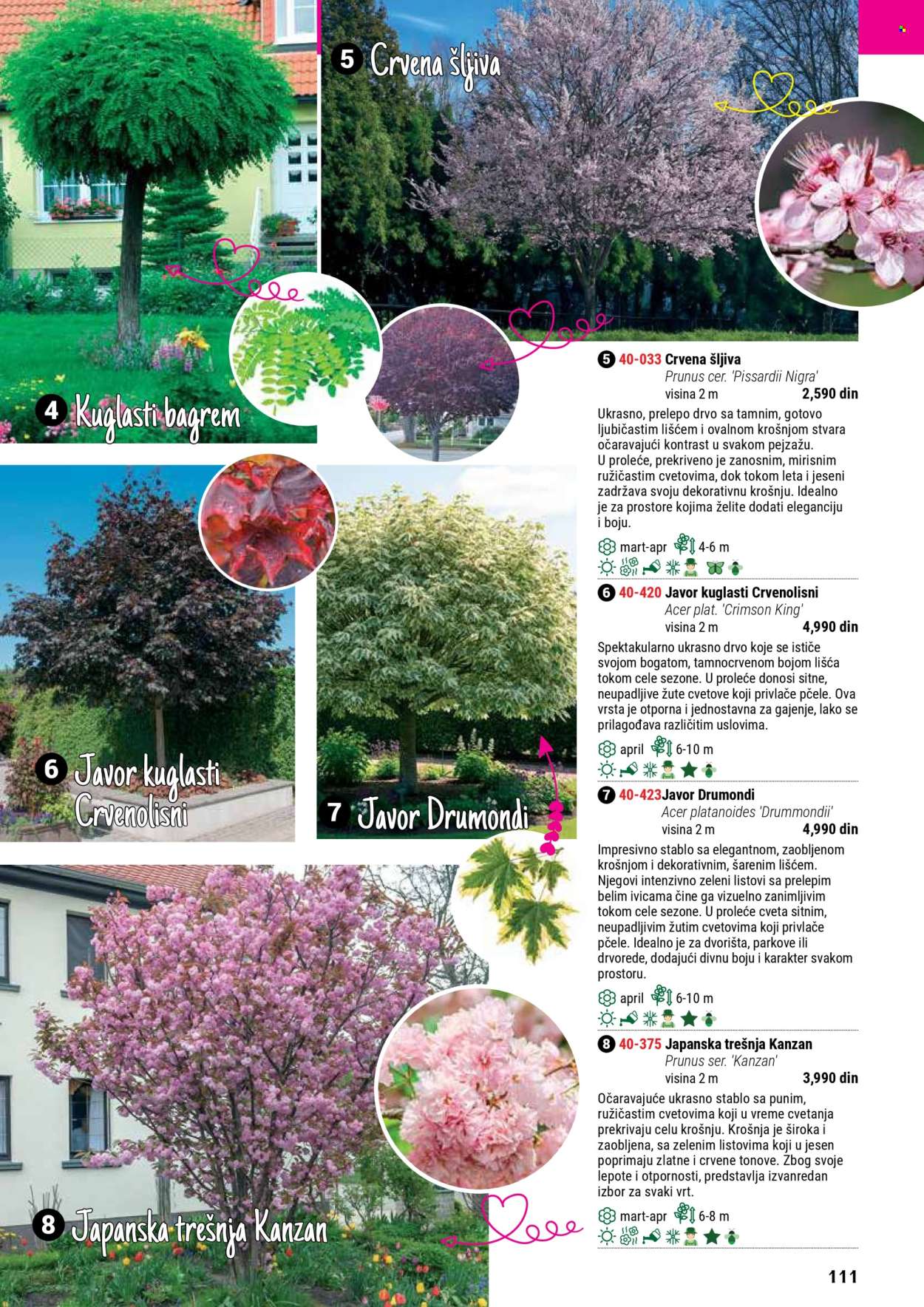 flora-ekspres - Flora Ekspres katalog septembar 2025 - page: 111 flora-ekspres - Flora Ekspres katalog septembar 2025 - page: 111