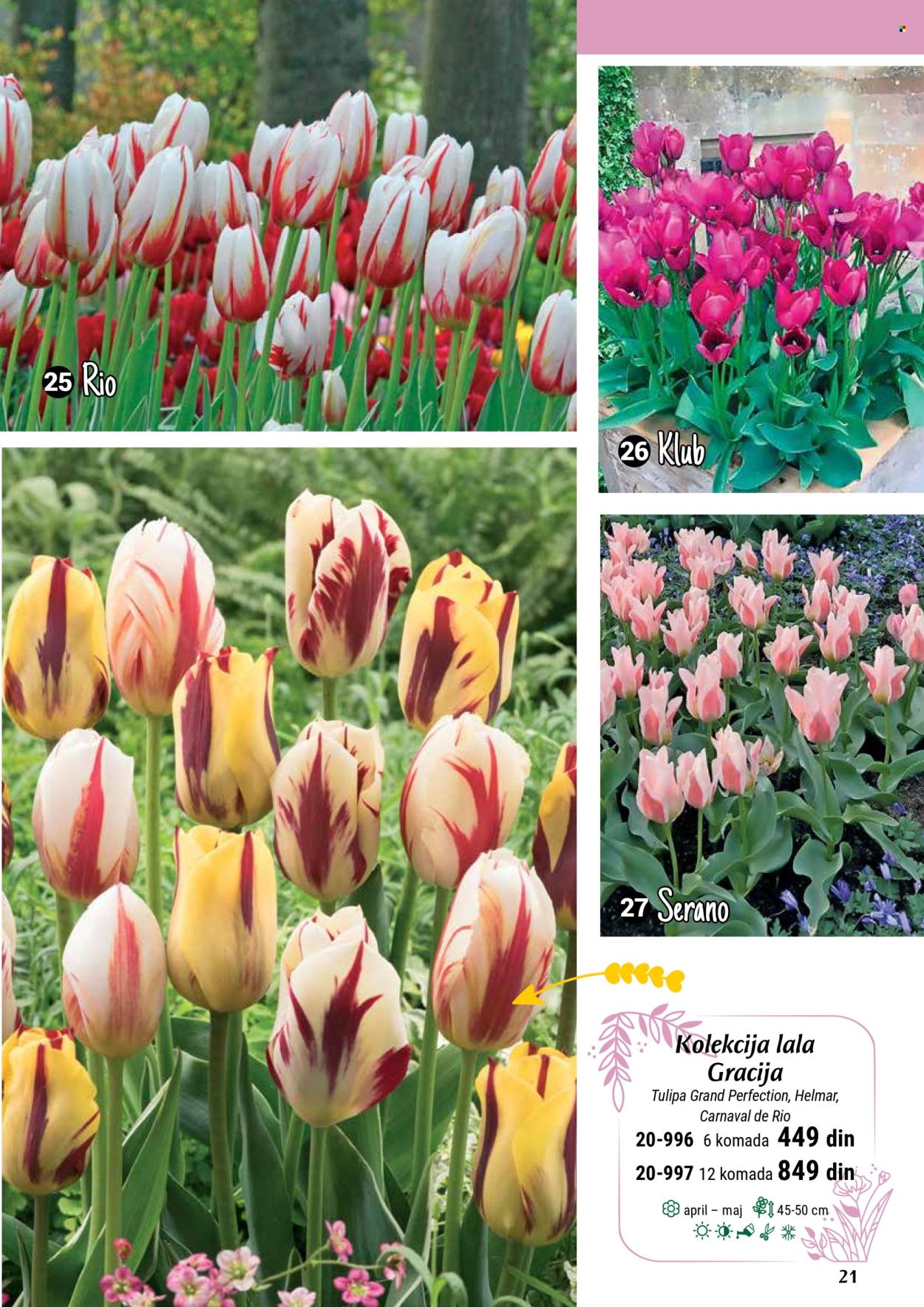 flora-ekspres - Flora Ekspres katalog septembar 2025 - page: 21 flora-ekspres - Flora Ekspres katalog septembar 2025 - page: 21